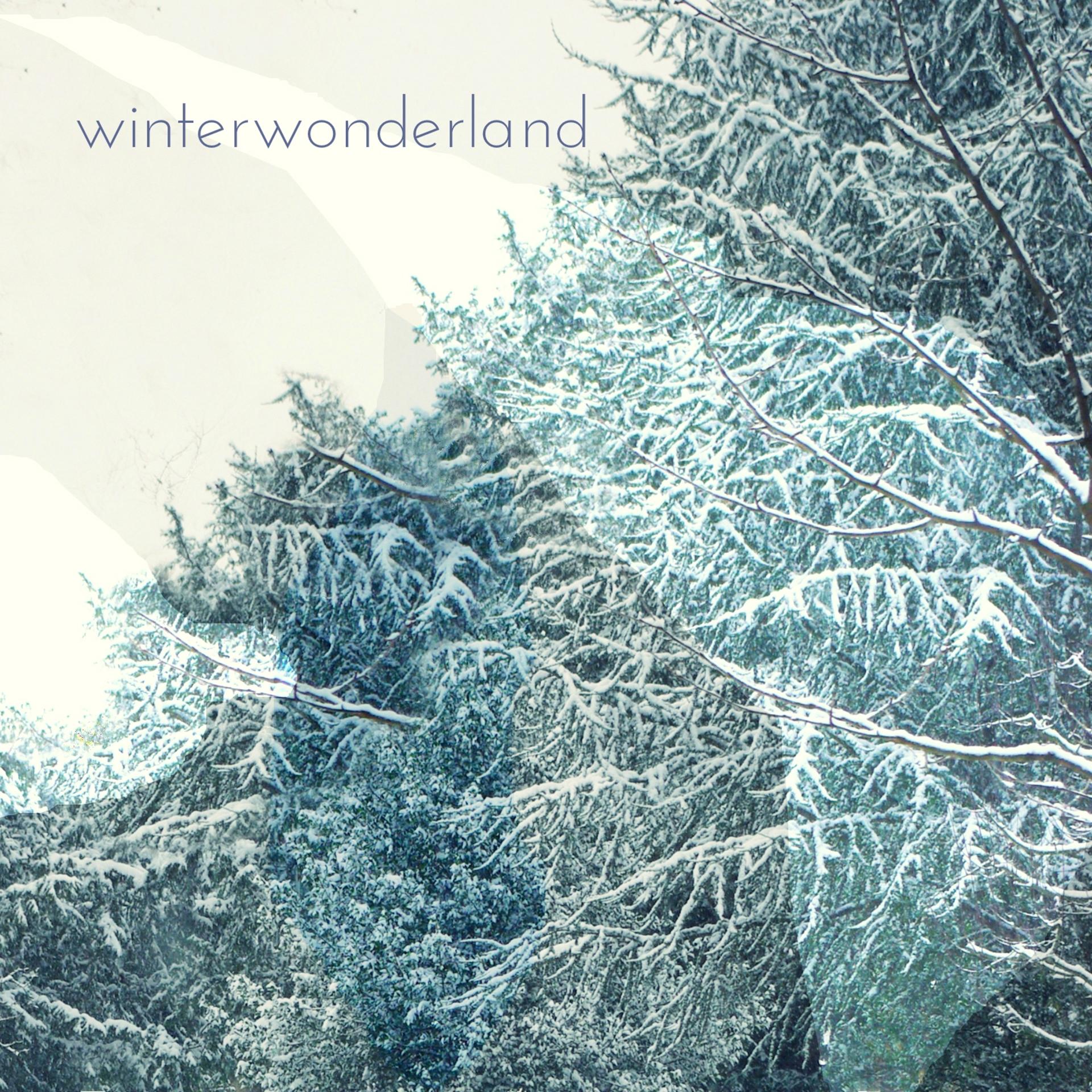 Постер альбома winterwonderland