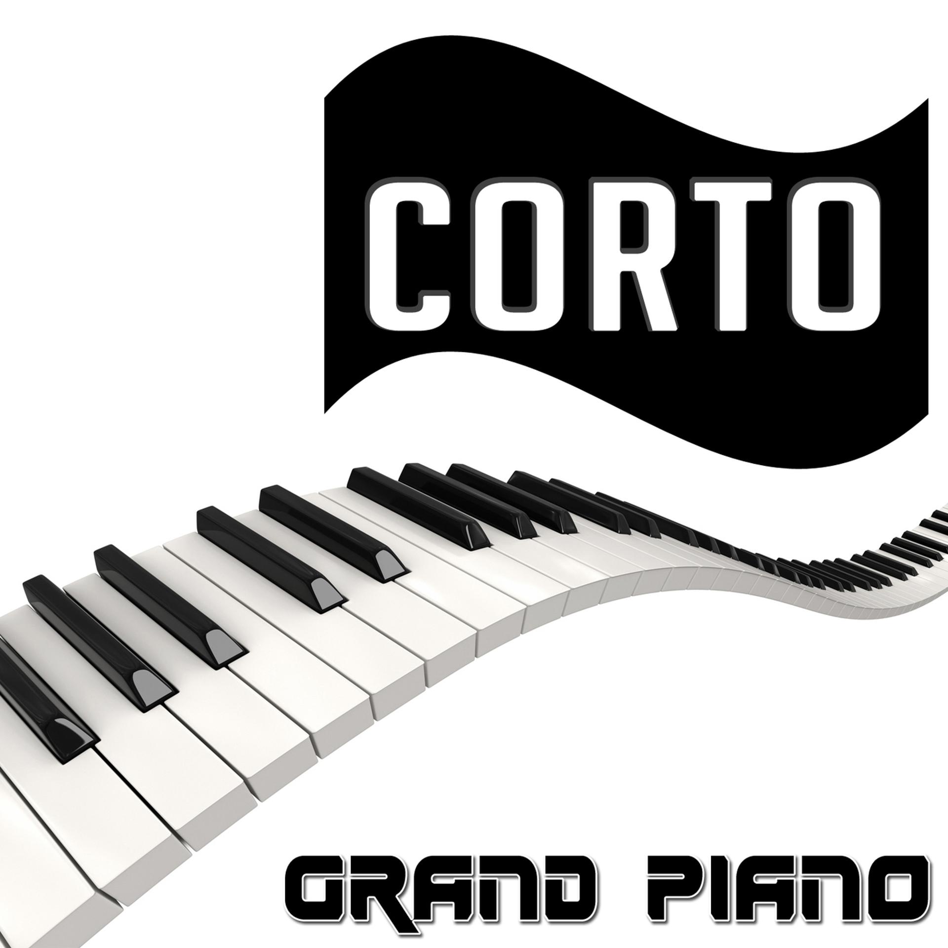 Постер альбома Grand piano