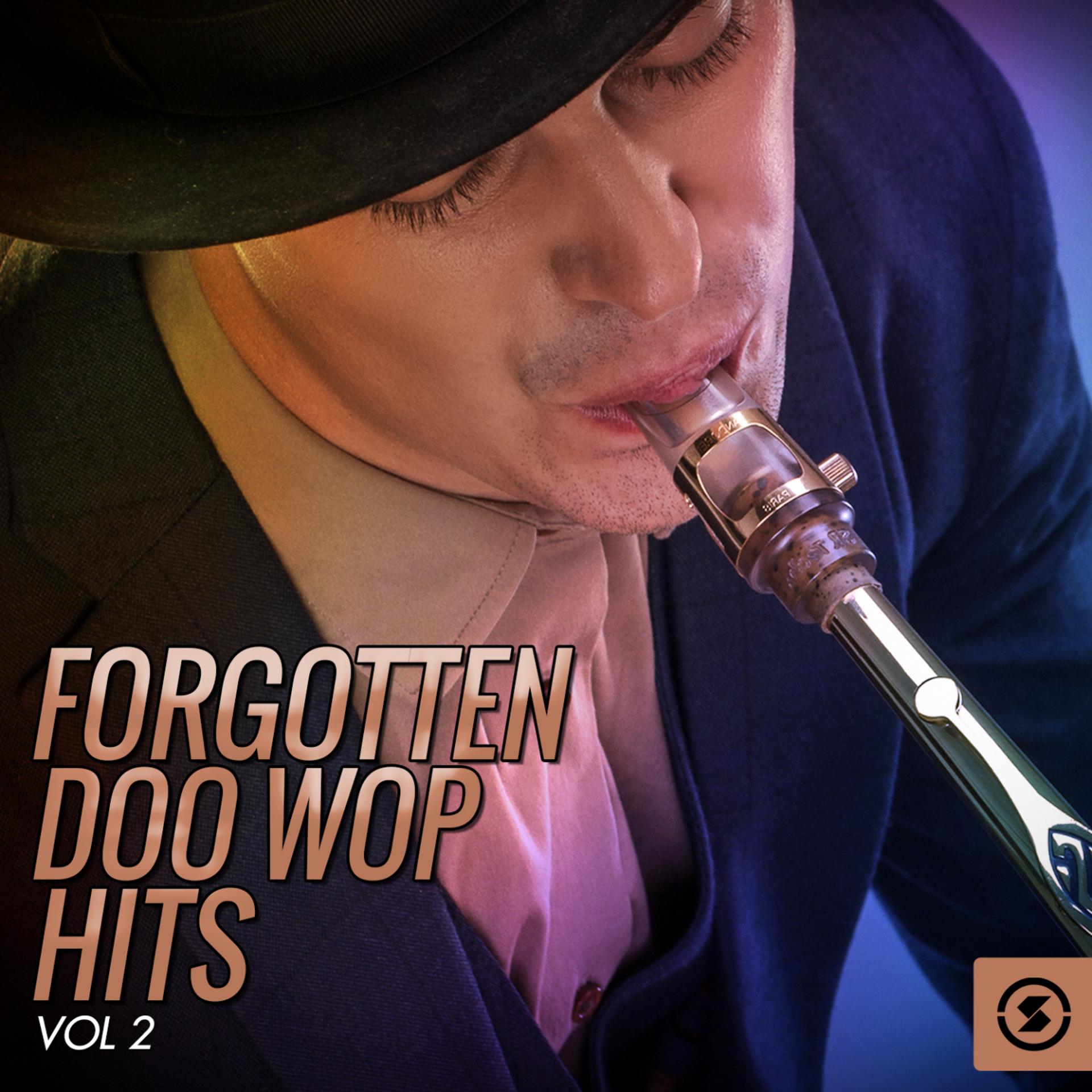 Постер альбома Forgotten Doo Wop Hits, Vol. 2