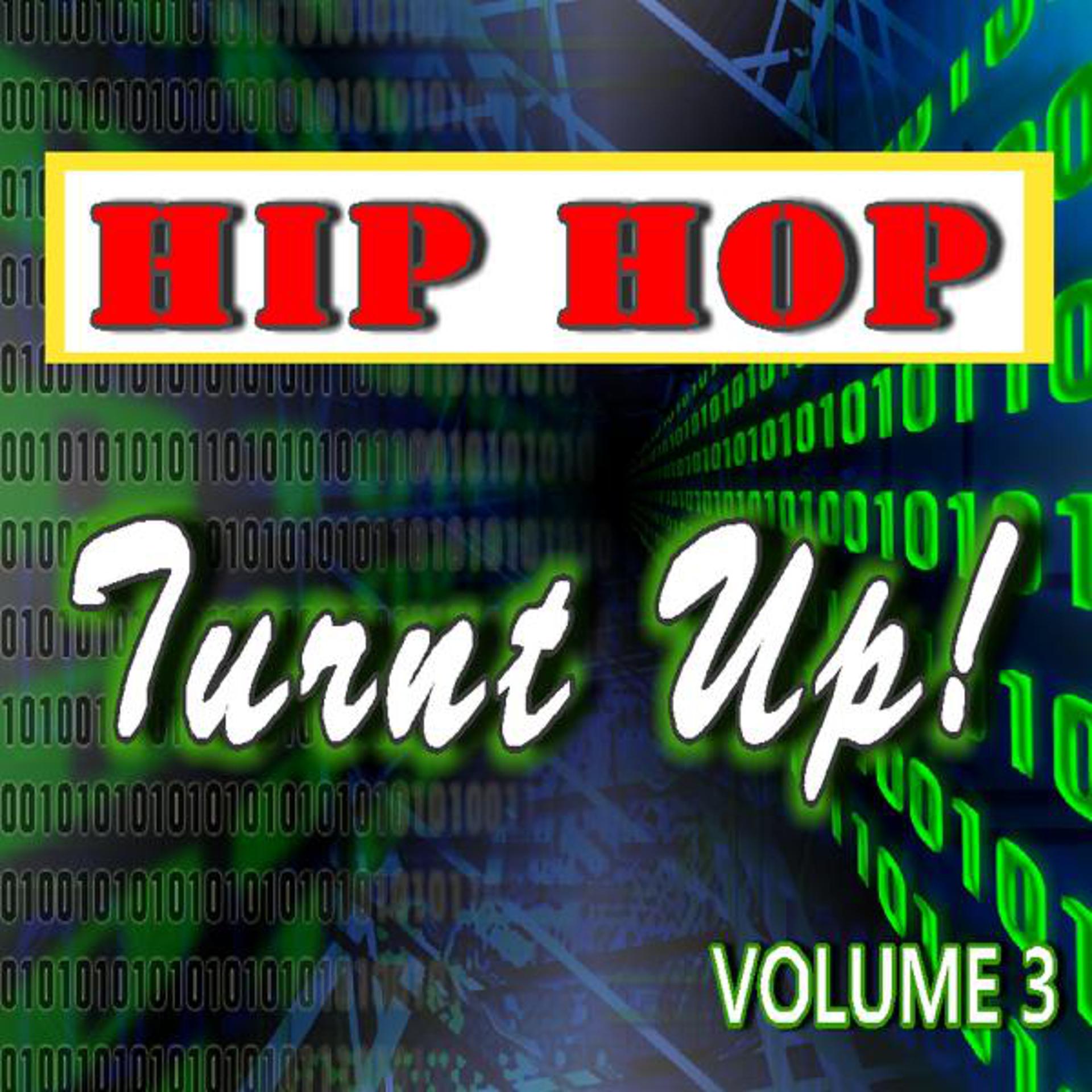 Постер альбома Hip Hop: Turnt Up!, Vol. 3