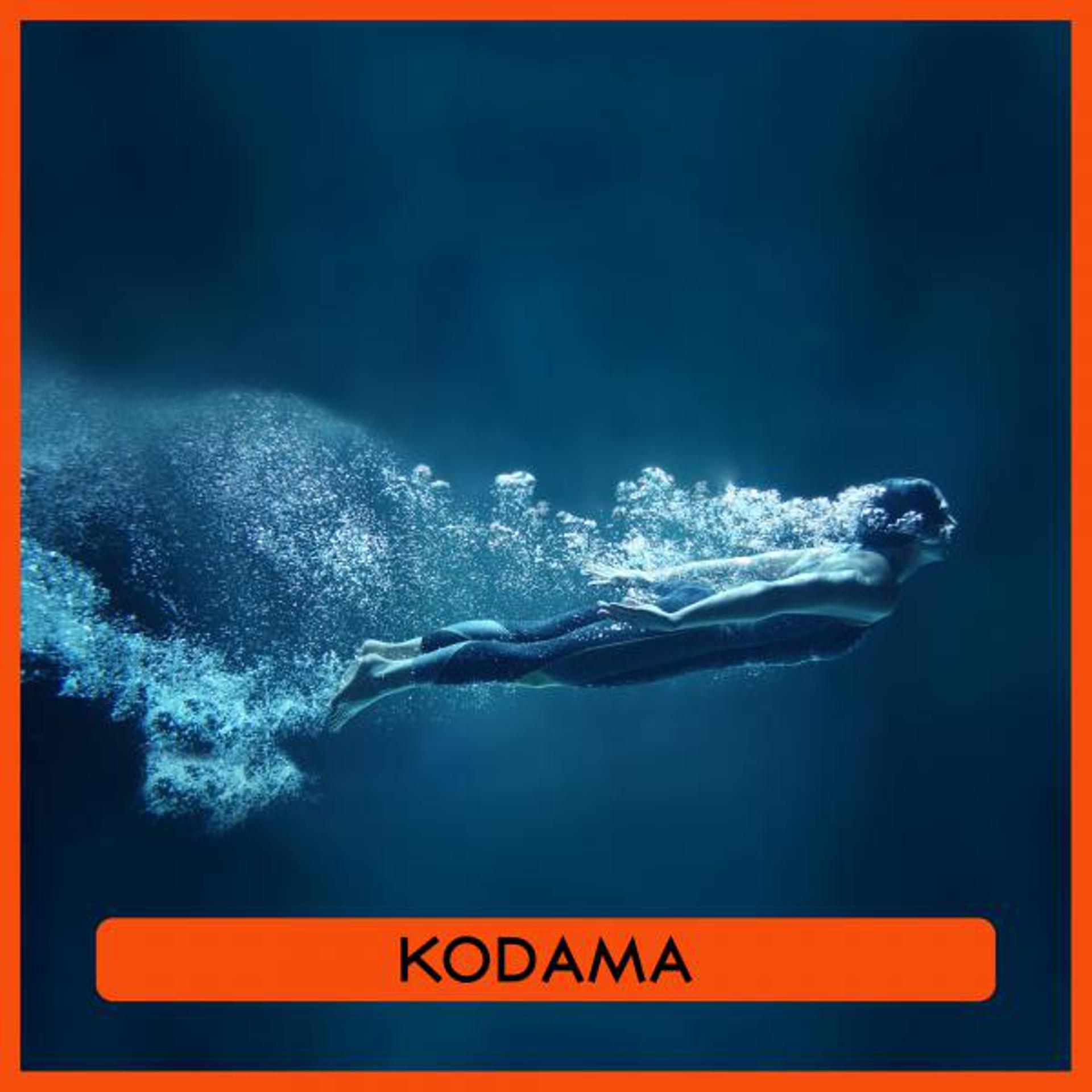 Постер альбома Kodama