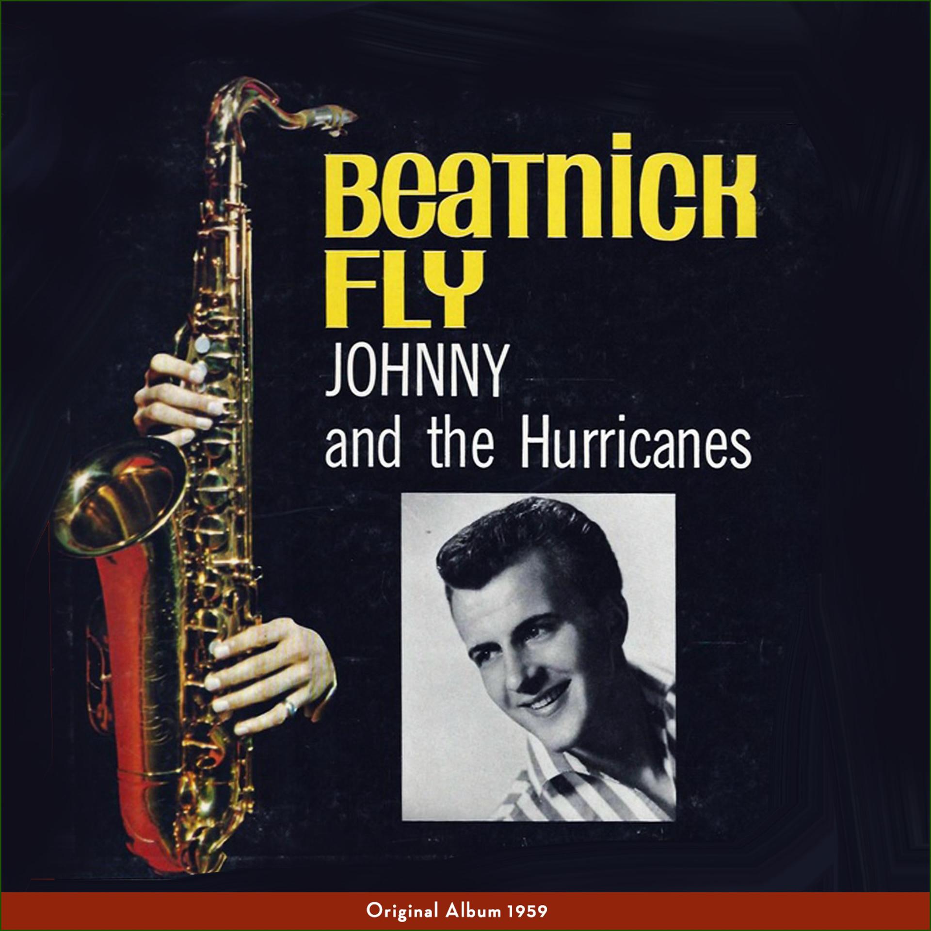 Постер альбома Beatnik Fly