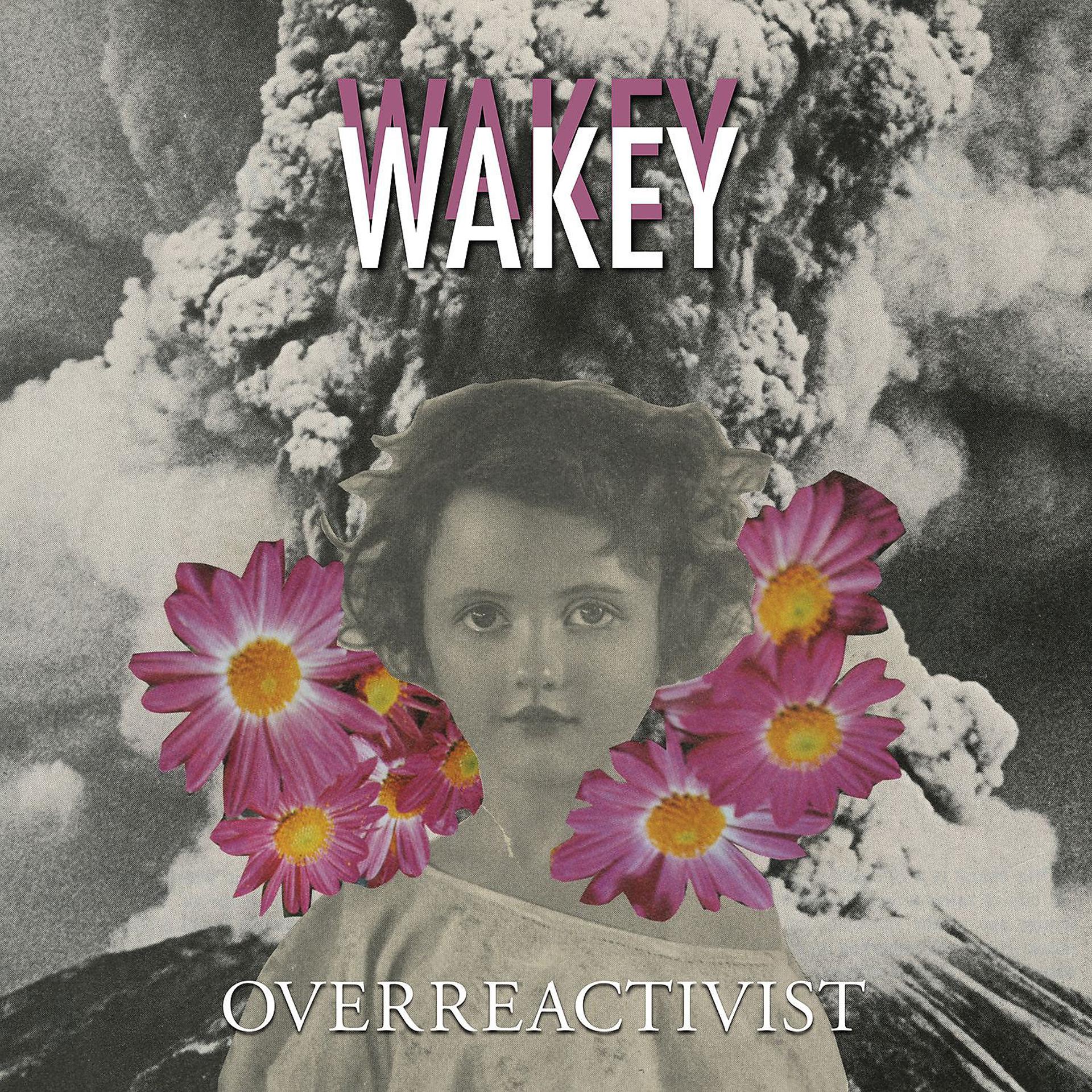 Постер альбома Overreactivist