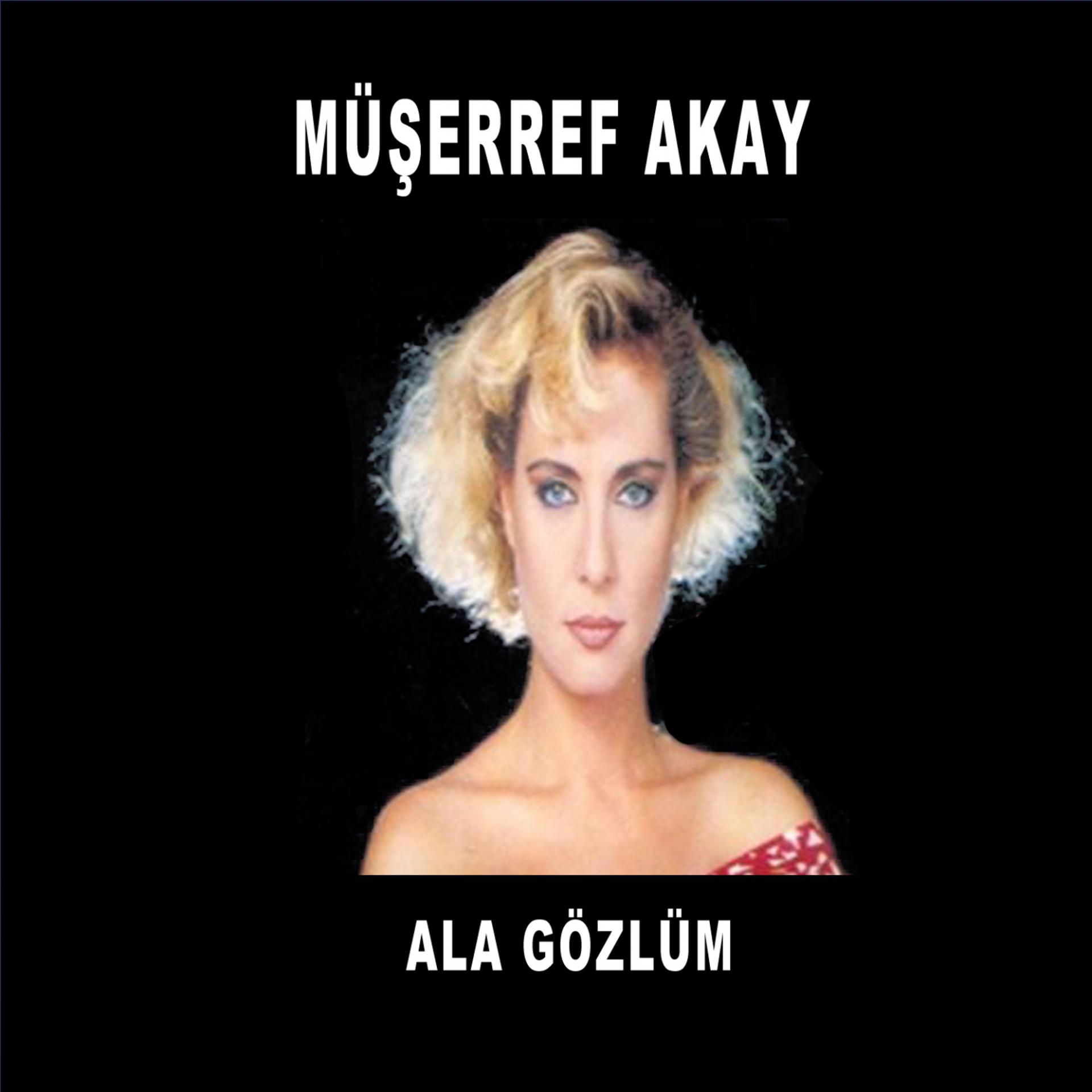 Постер альбома Ala Gözlüm