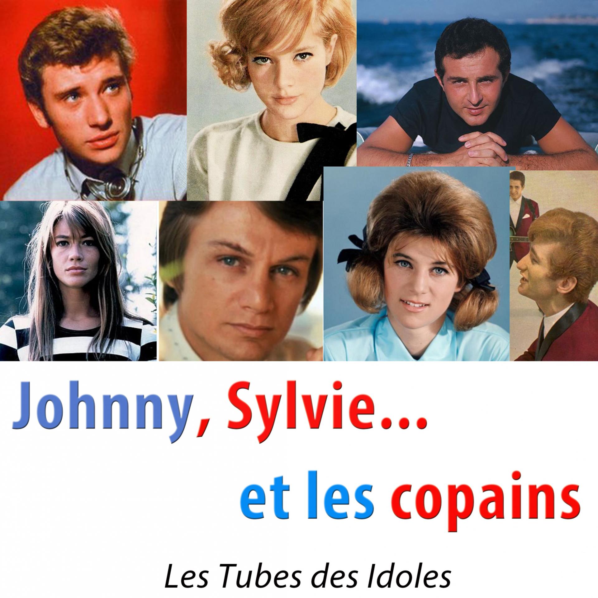 Постер альбома Johnny, Sylvie... Et les copains (Les tubes des idoles)