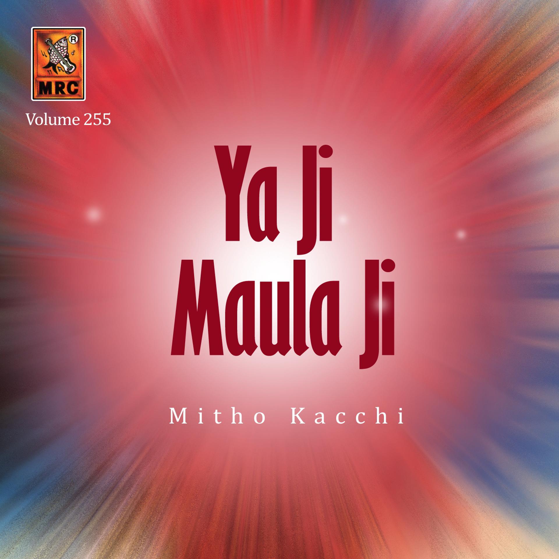 Постер альбома Ya Ji Maula Ji, Vol. 255