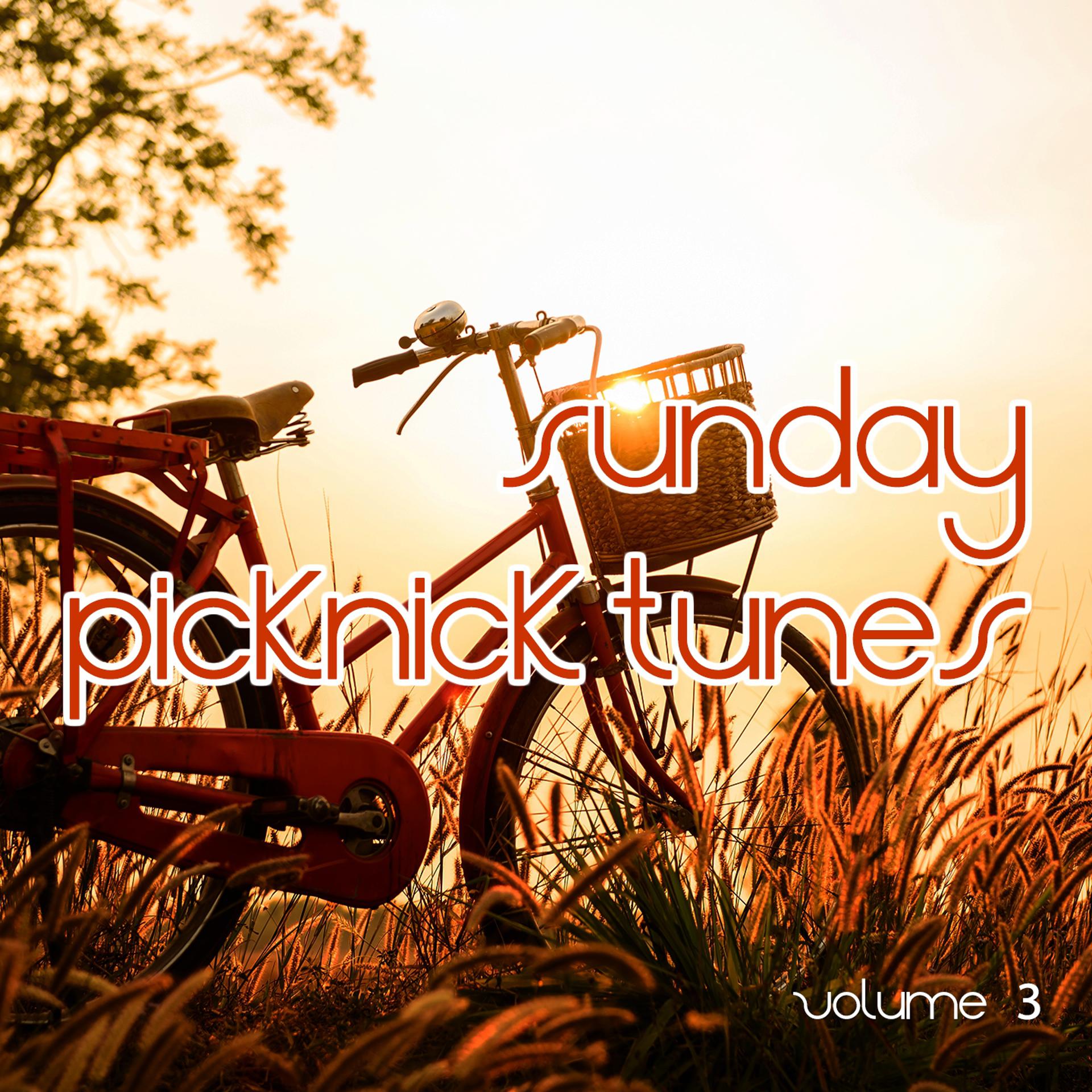 Постер альбома Sunday Picknick Tunes, Vol. 3
