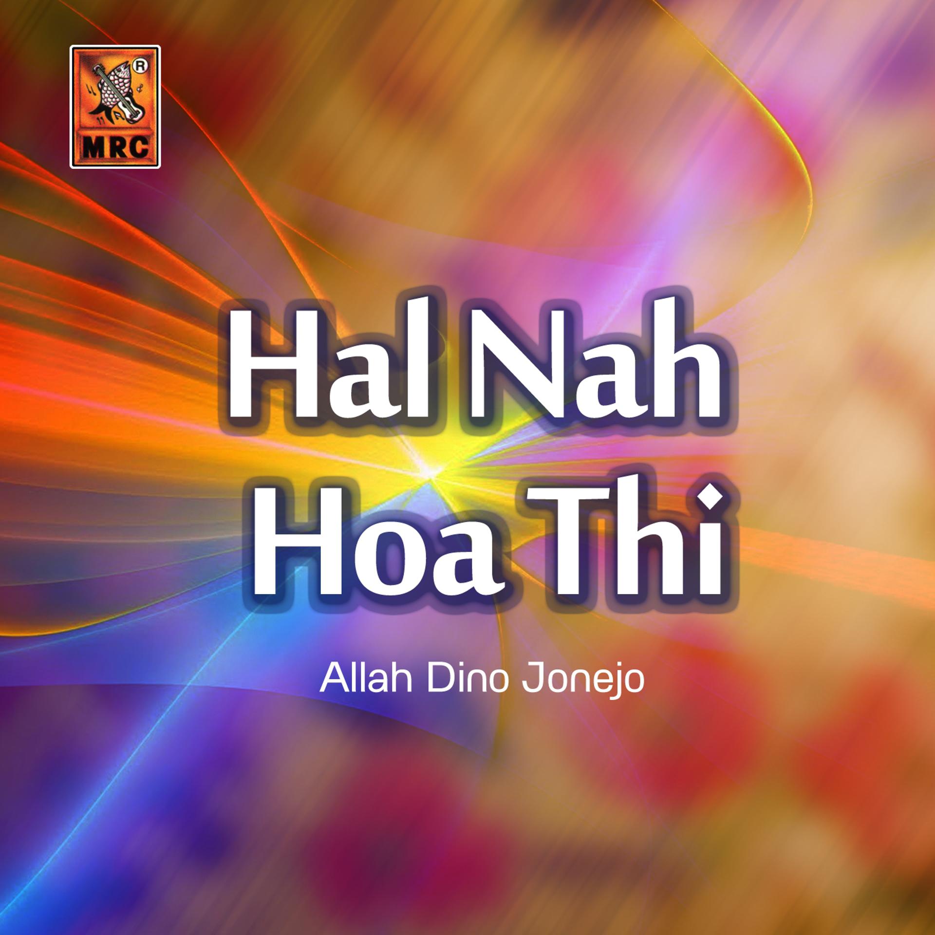 Постер альбома Hal Nah Hoa Thi
