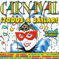 Постер альбома Carnaval: ¡Todos a Bailar!