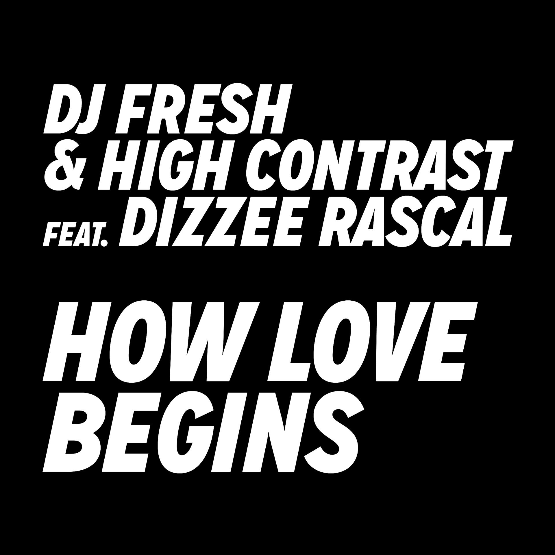 Постер альбома How Love Begins (feat. Dizzee Rascal)