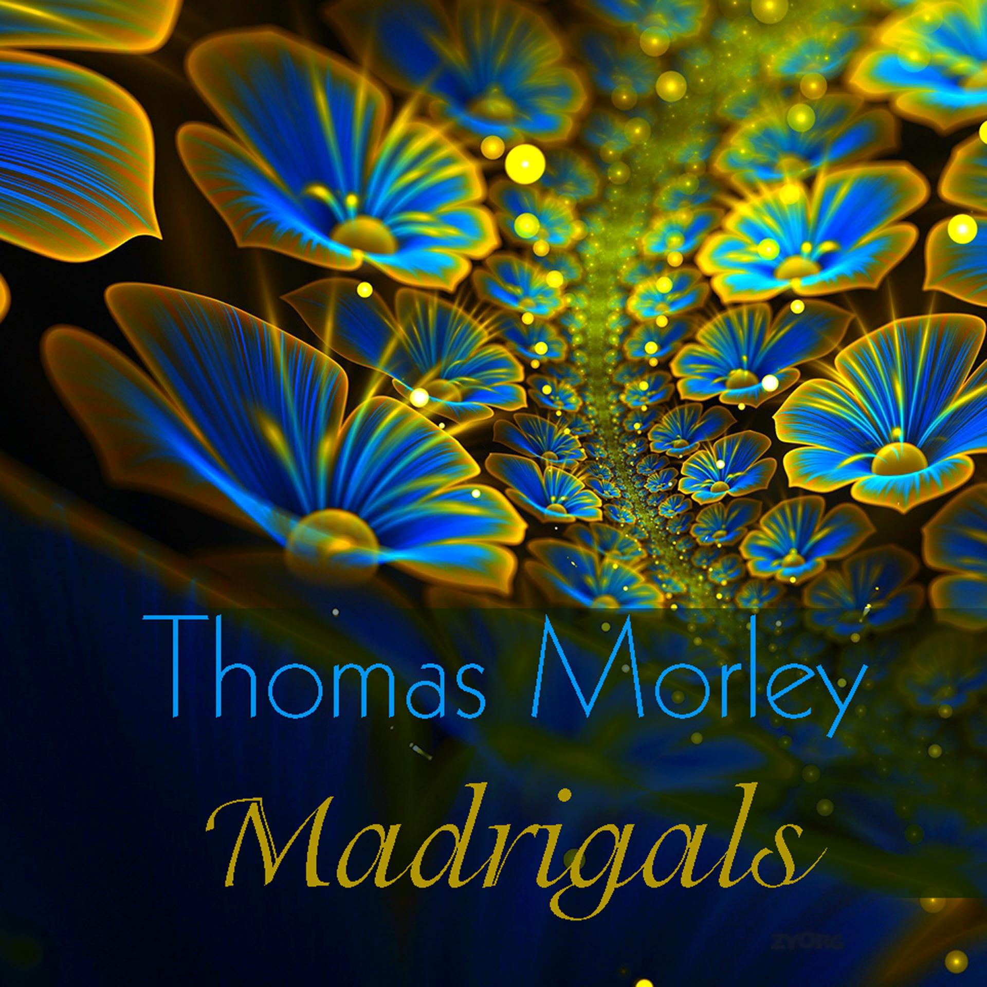 Постер альбома Thomas Morley: Madrigals - Best Classical Collection