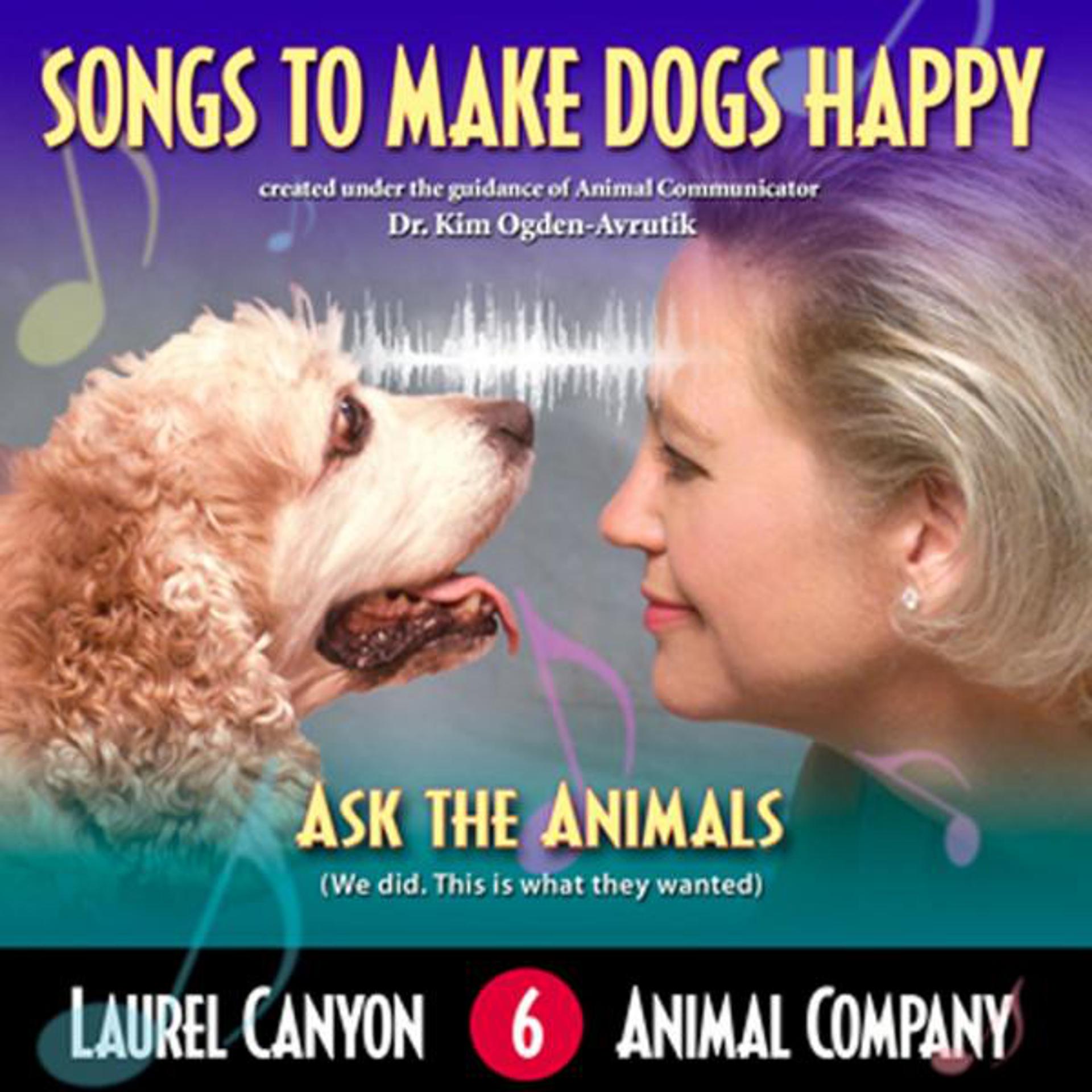 Постер альбома Songs To Make Dogs Happy