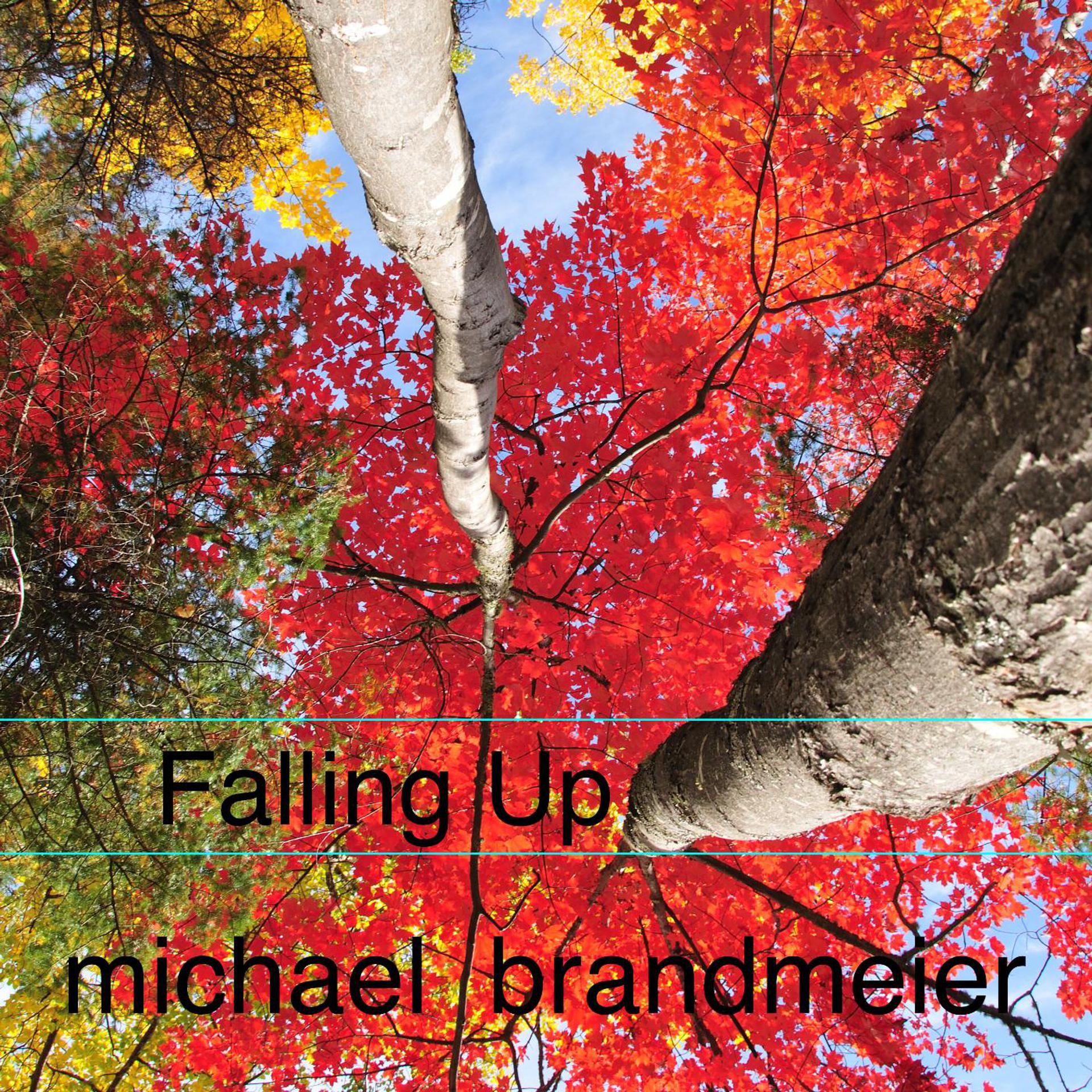 Постер альбома Falling Up