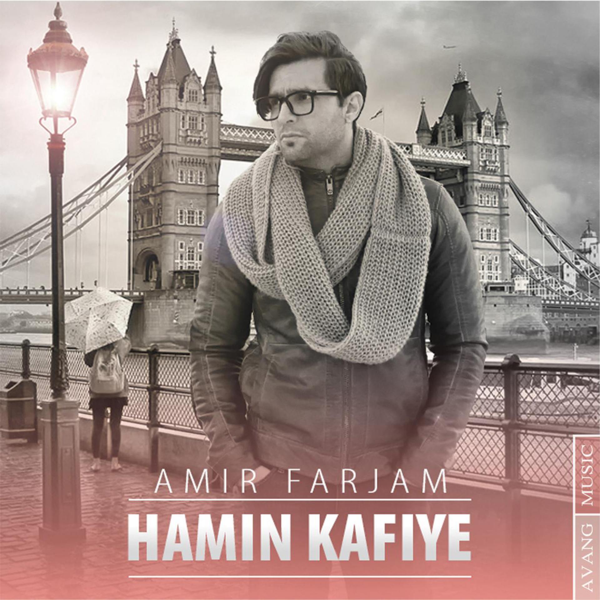 Постер альбома Hamin Kafiye