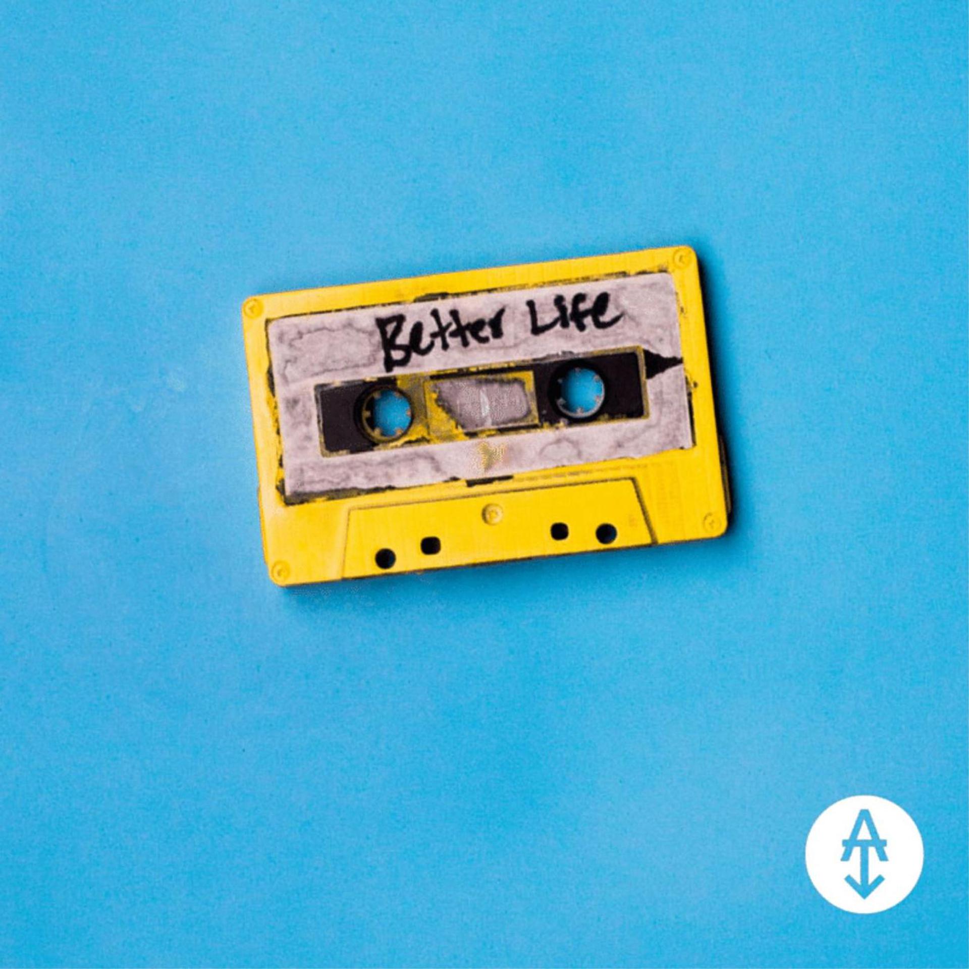 Постер альбома Better Life (feat. Hawk Nelson)