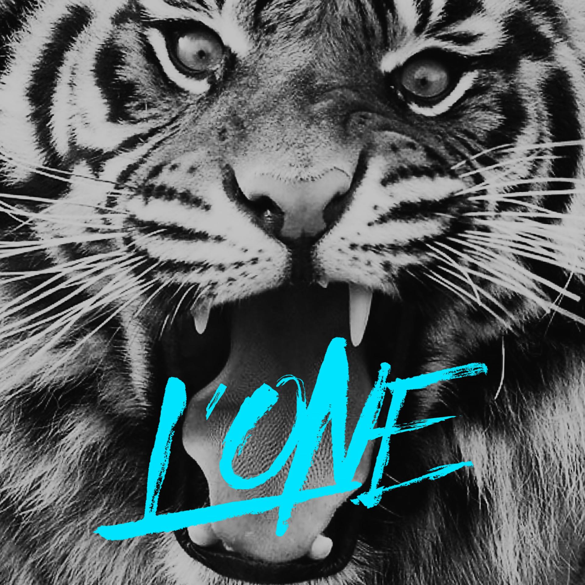 Постер альбома Тигр