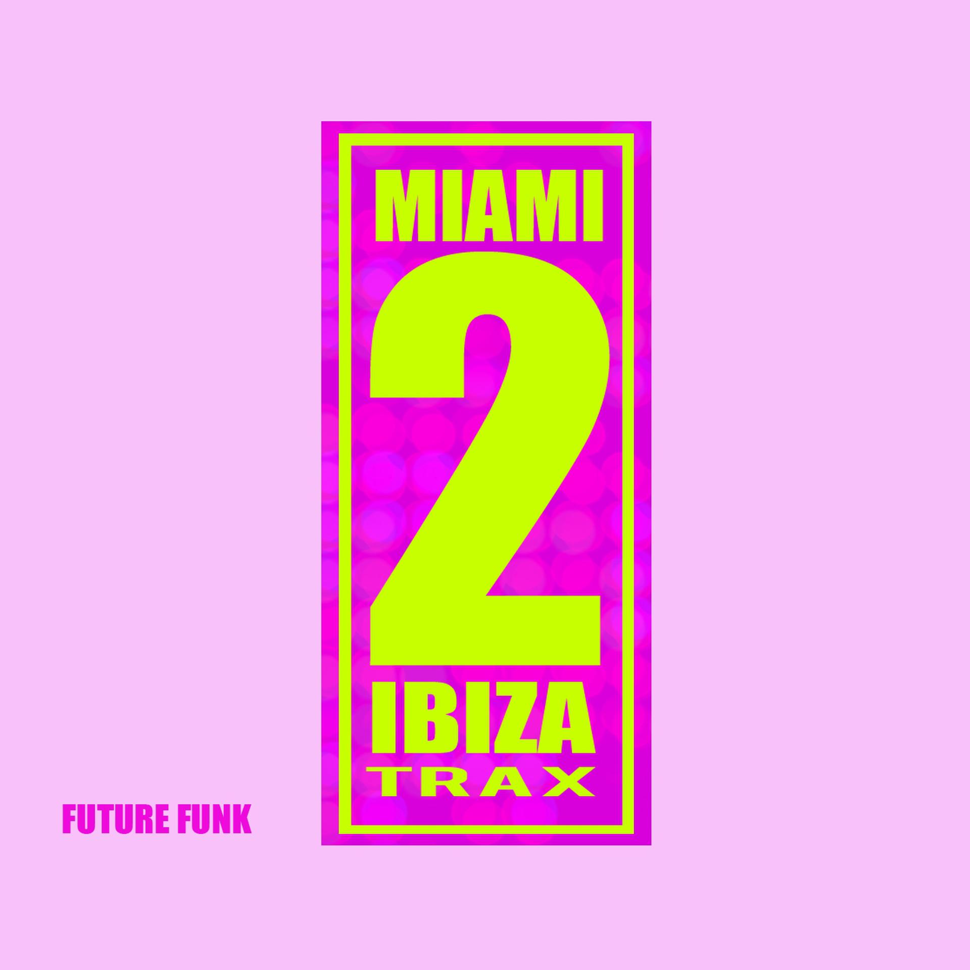 Постер альбома Future Funk