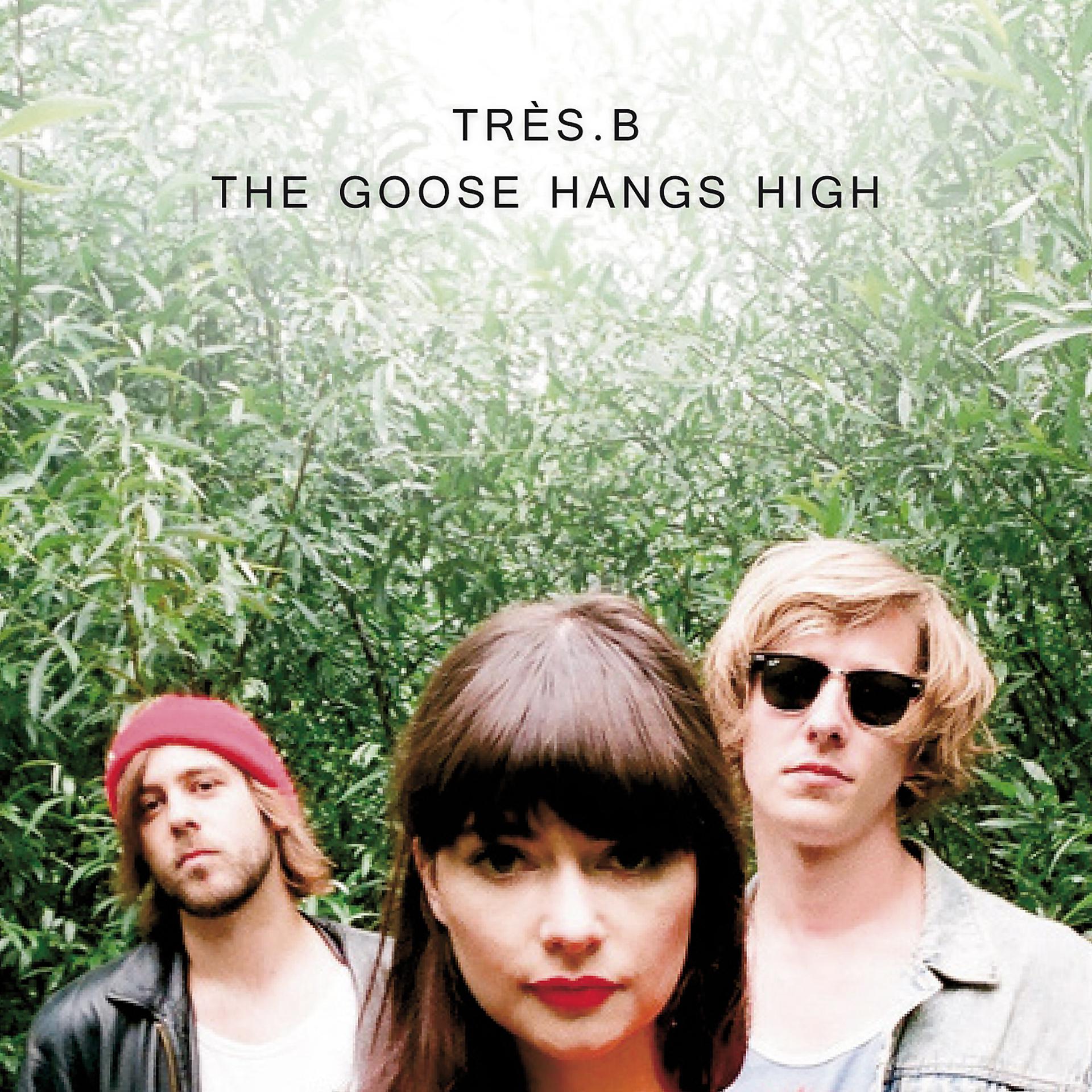 Постер альбома The Goose Hangs High