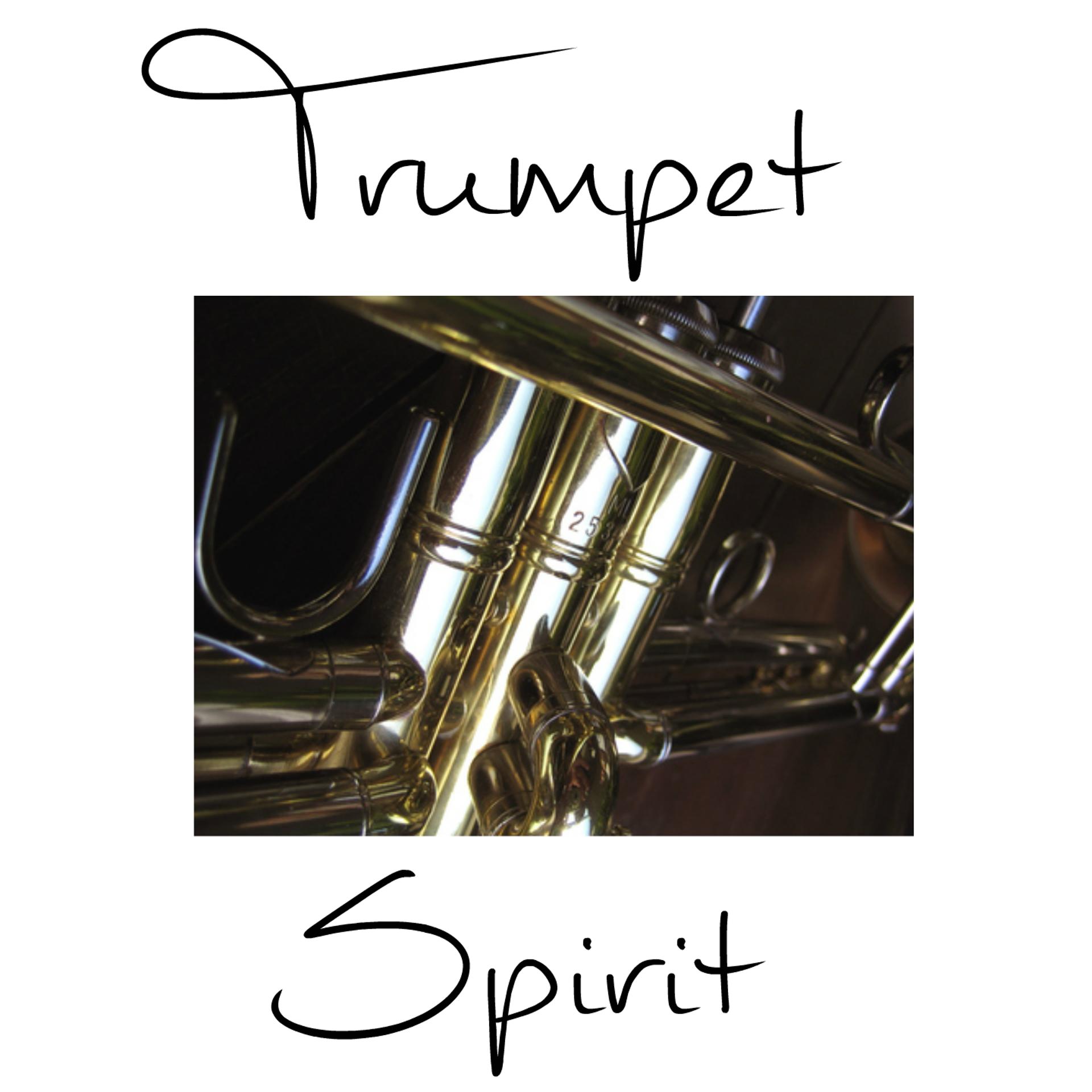Постер альбома Trumpet Spirit
