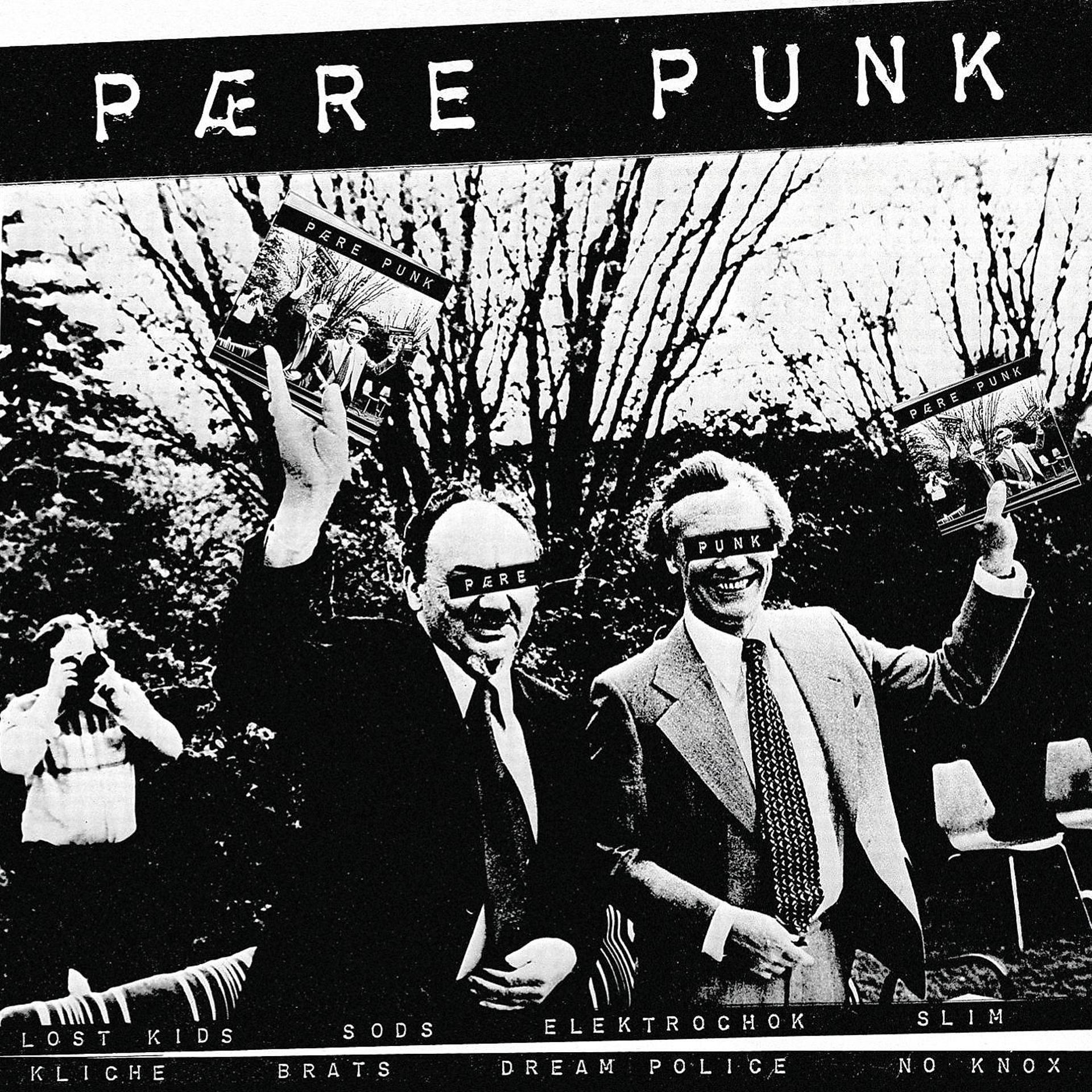 Постер альбома Pære Punk