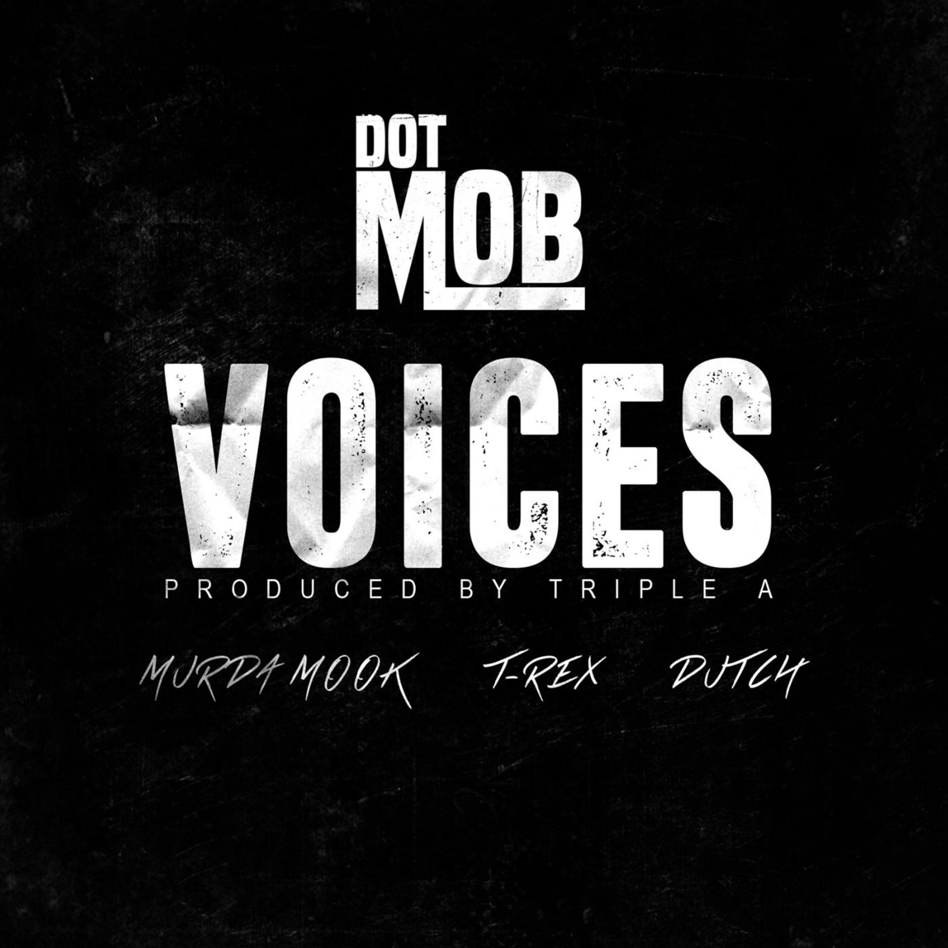 Постер альбома DotMob Presents: Voices
