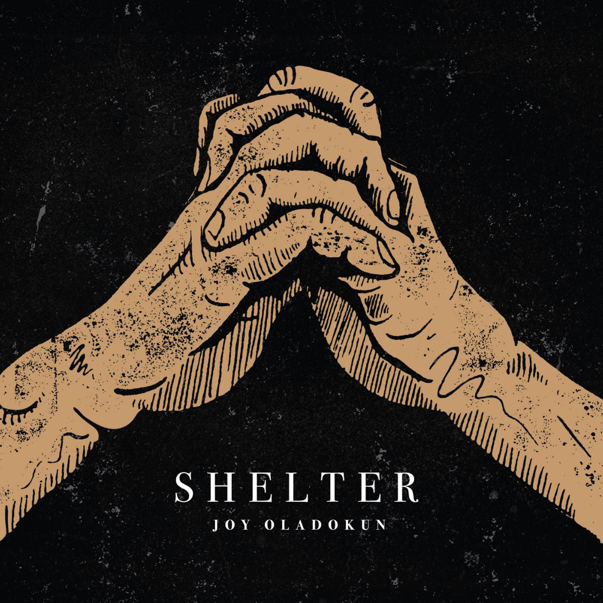 Постер альбома Shelter