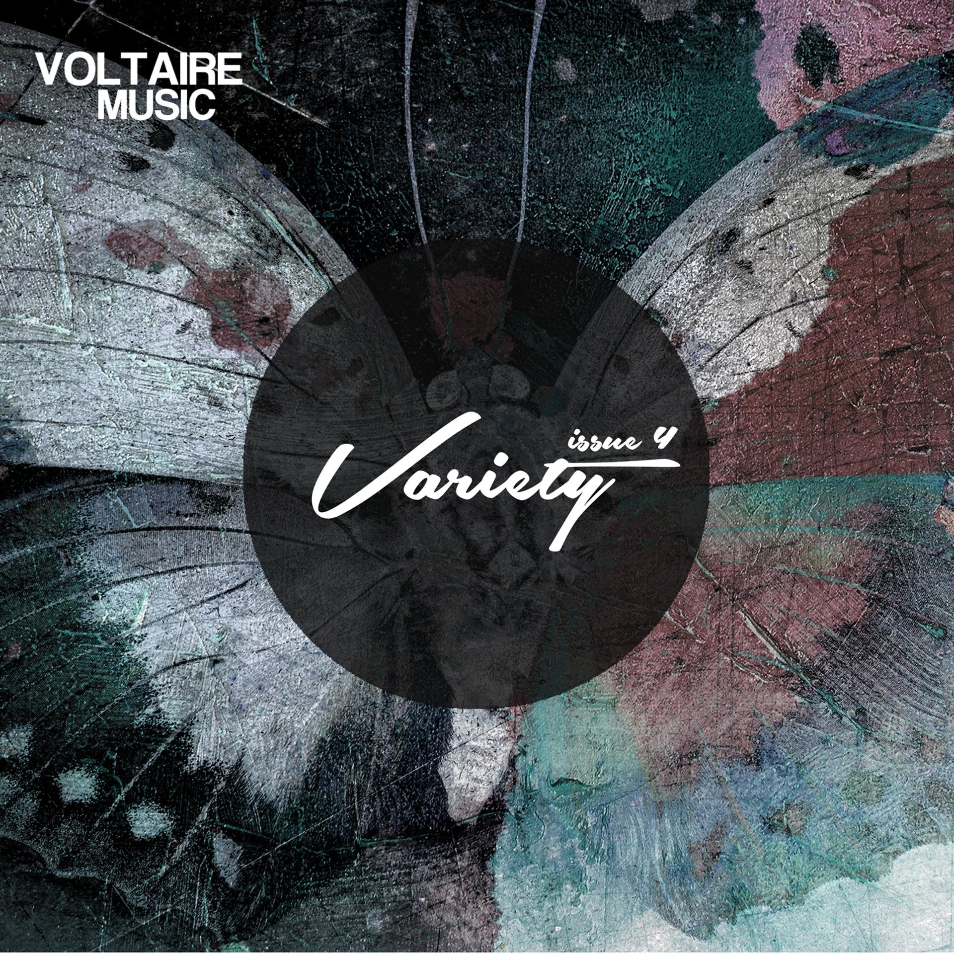 Постер альбома Voltaire Music pres. Variety Issue 4