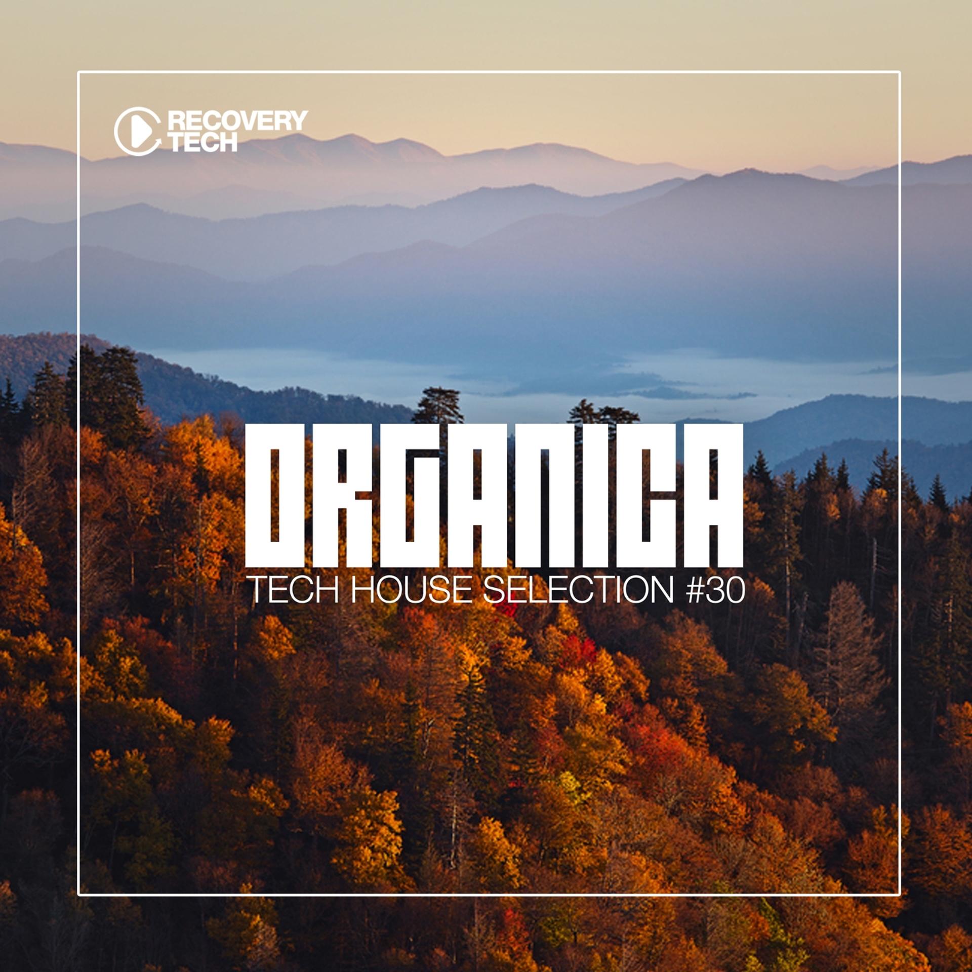 Постер альбома Organica #30