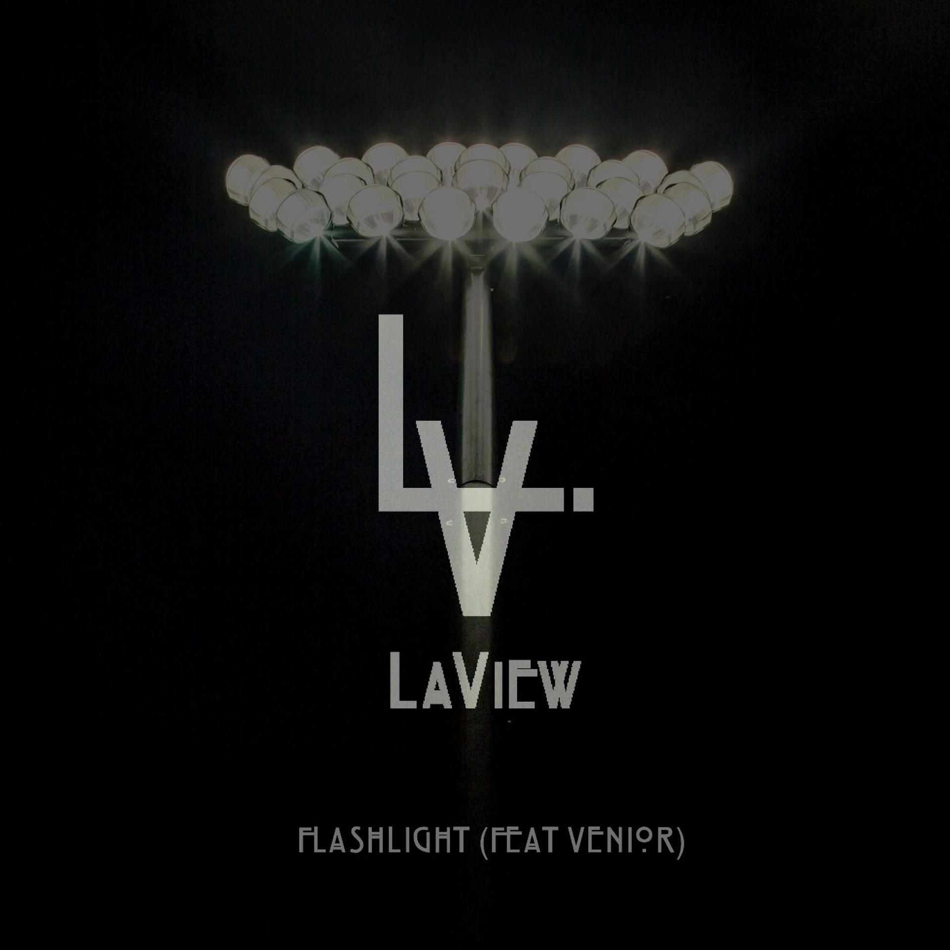 Постер альбома Flashlight (feat. Venior)