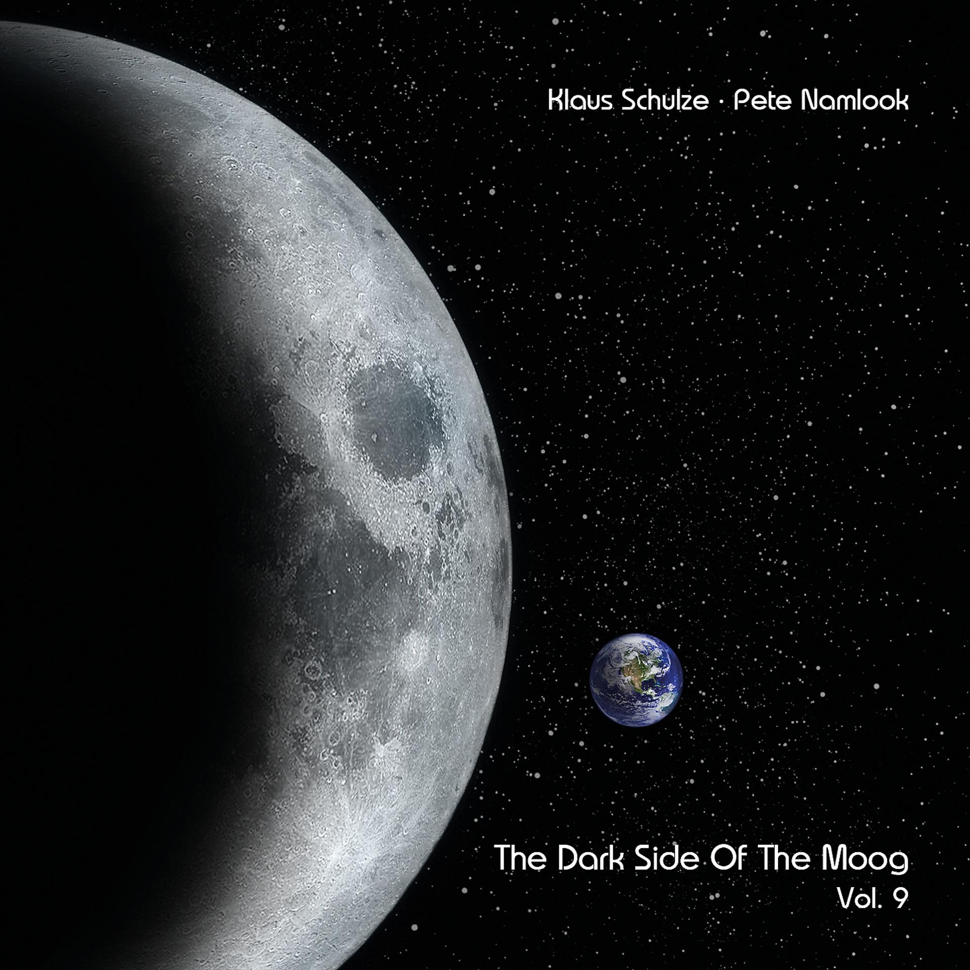 Постер альбома The Dark Side of the Moog, Vol. 9