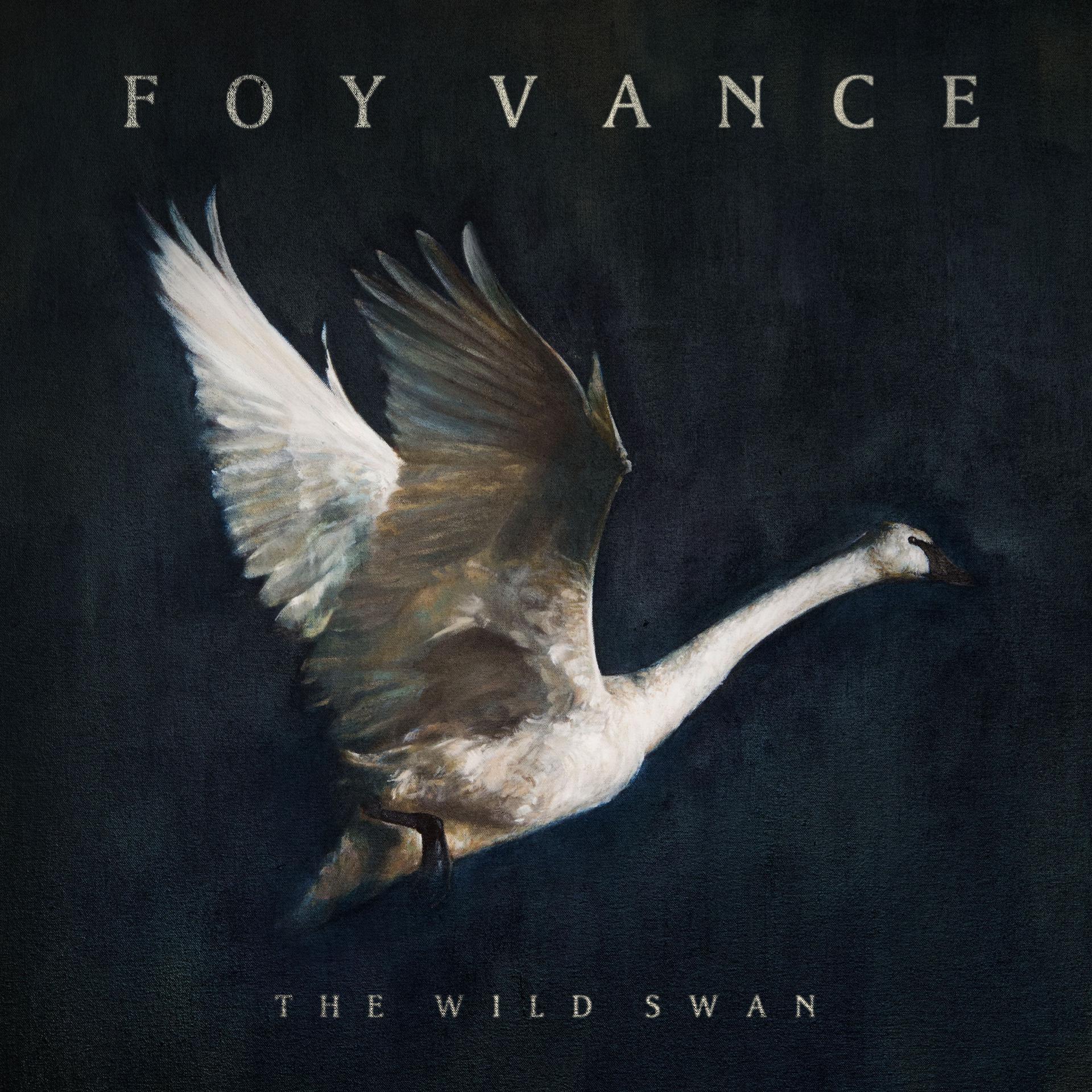 Постер альбома The Wild Swan