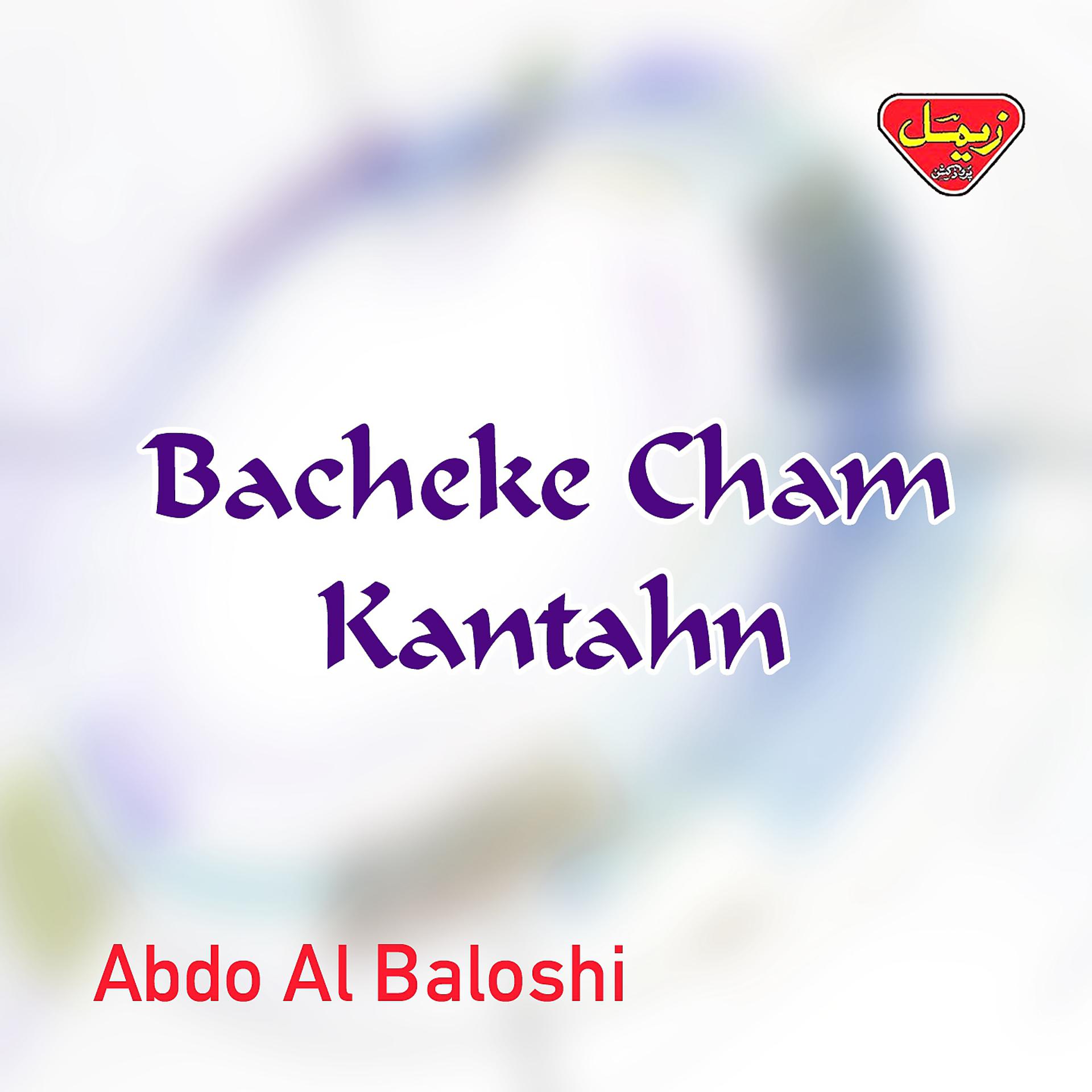 Постер альбома Bacheke Cham Kantahn