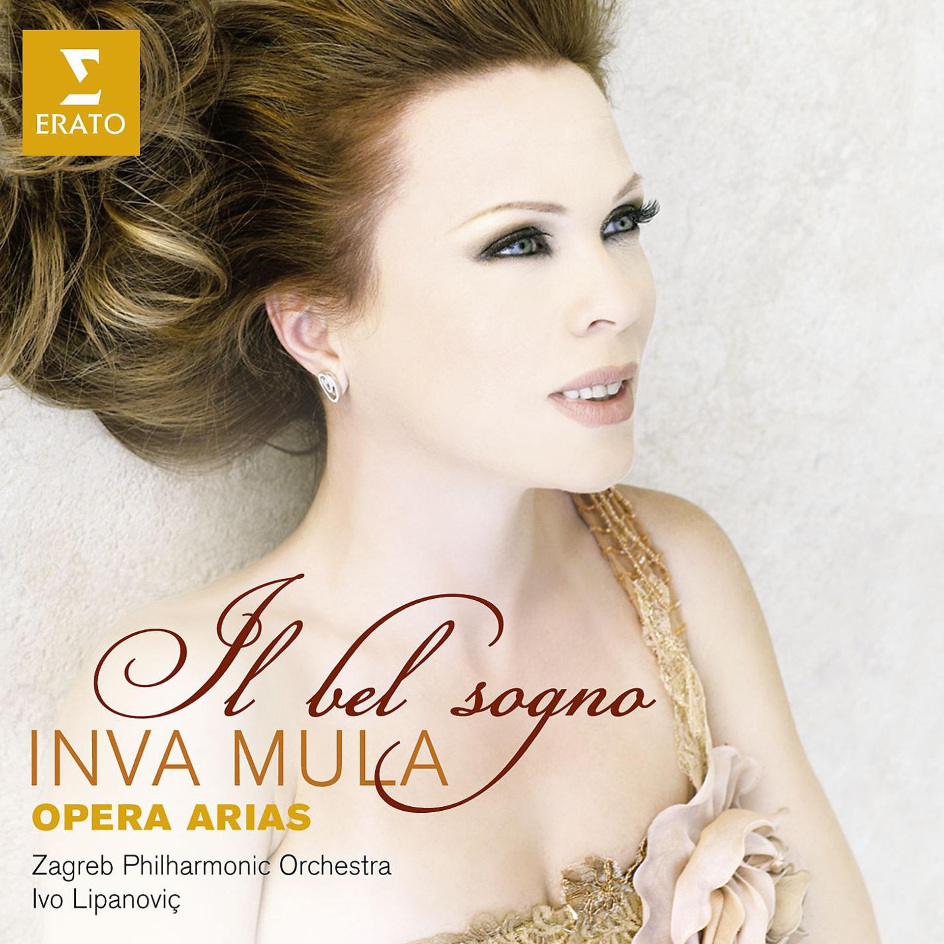 Постер альбома Il Bel Sogno - opera arias