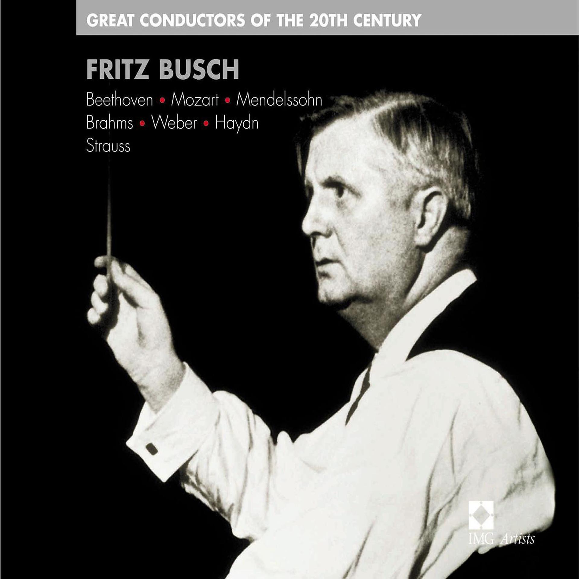Постер альбома Fritz Busch: Great Conductors of the 20th Century