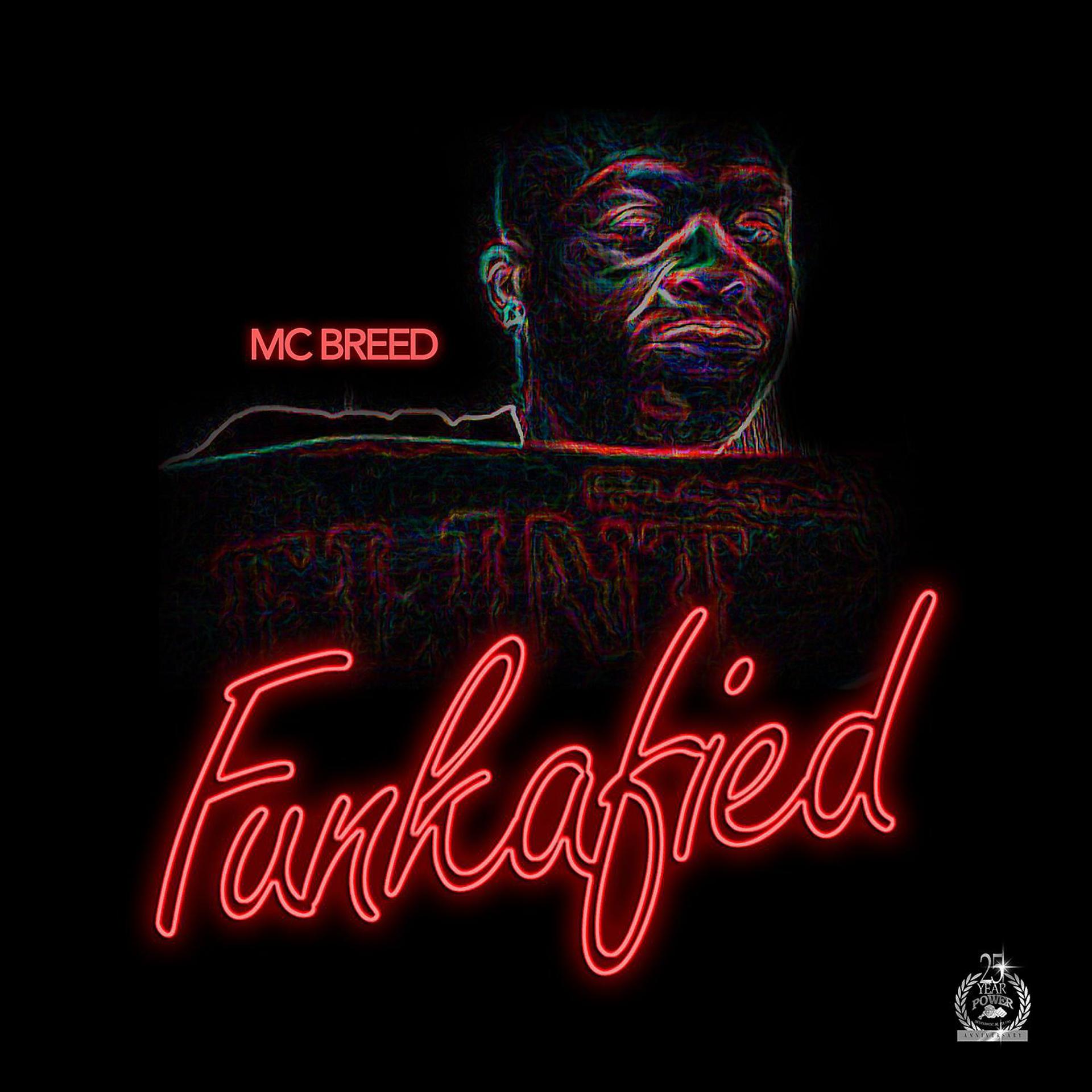 Постер альбома Funkafied