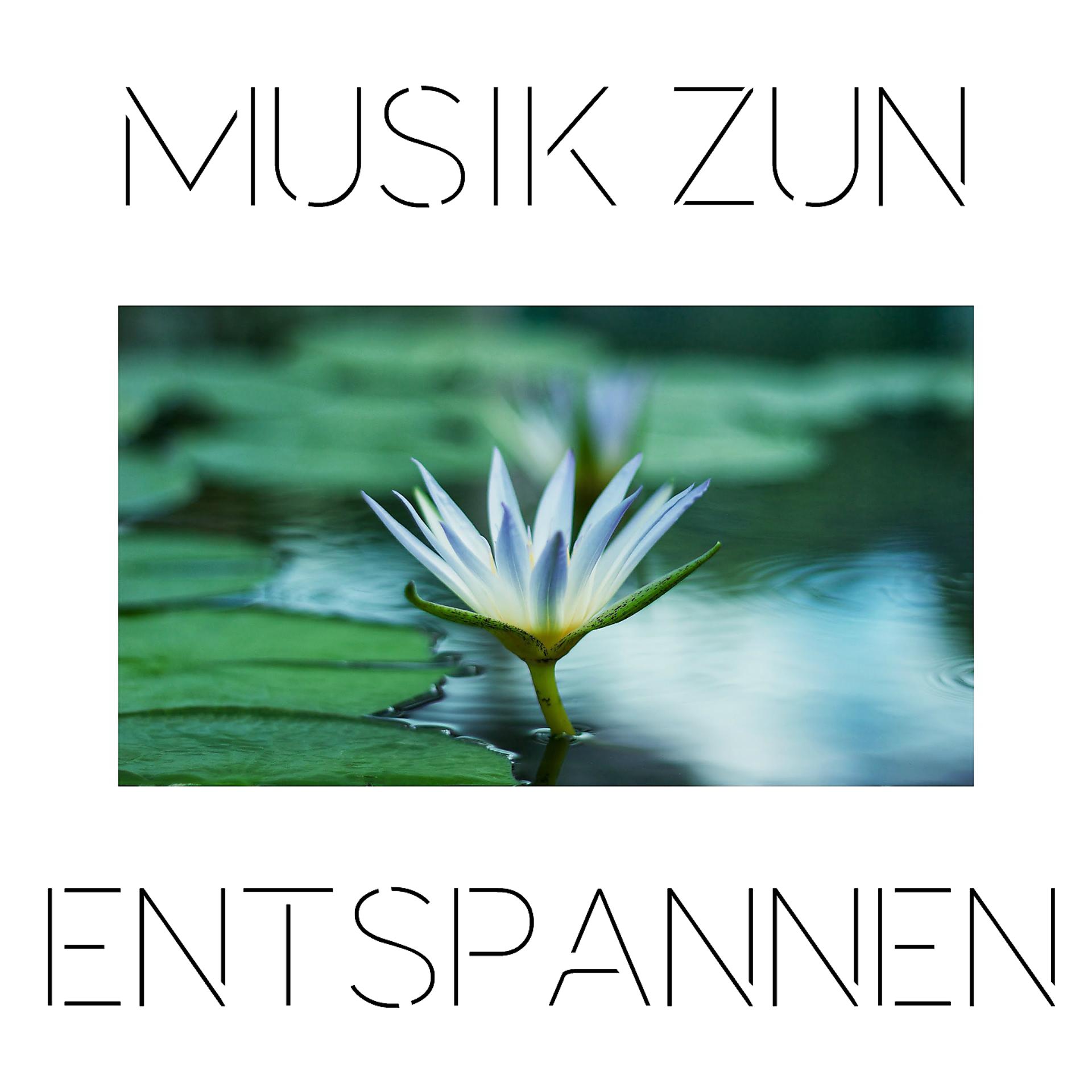 Постер альбома Musik Zun Entspannen