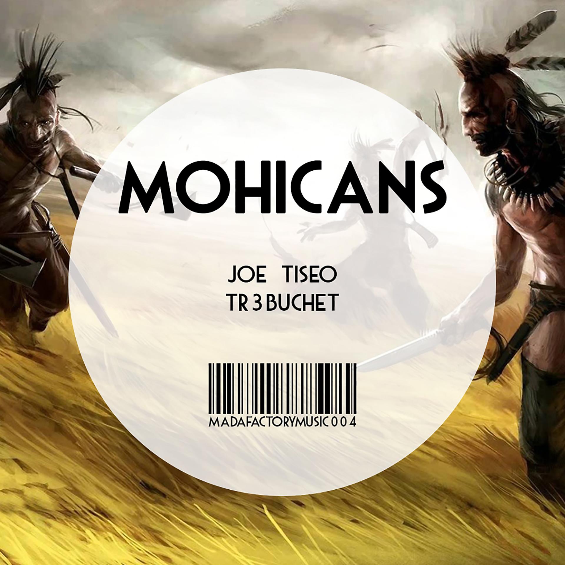 Постер альбома Mohicans