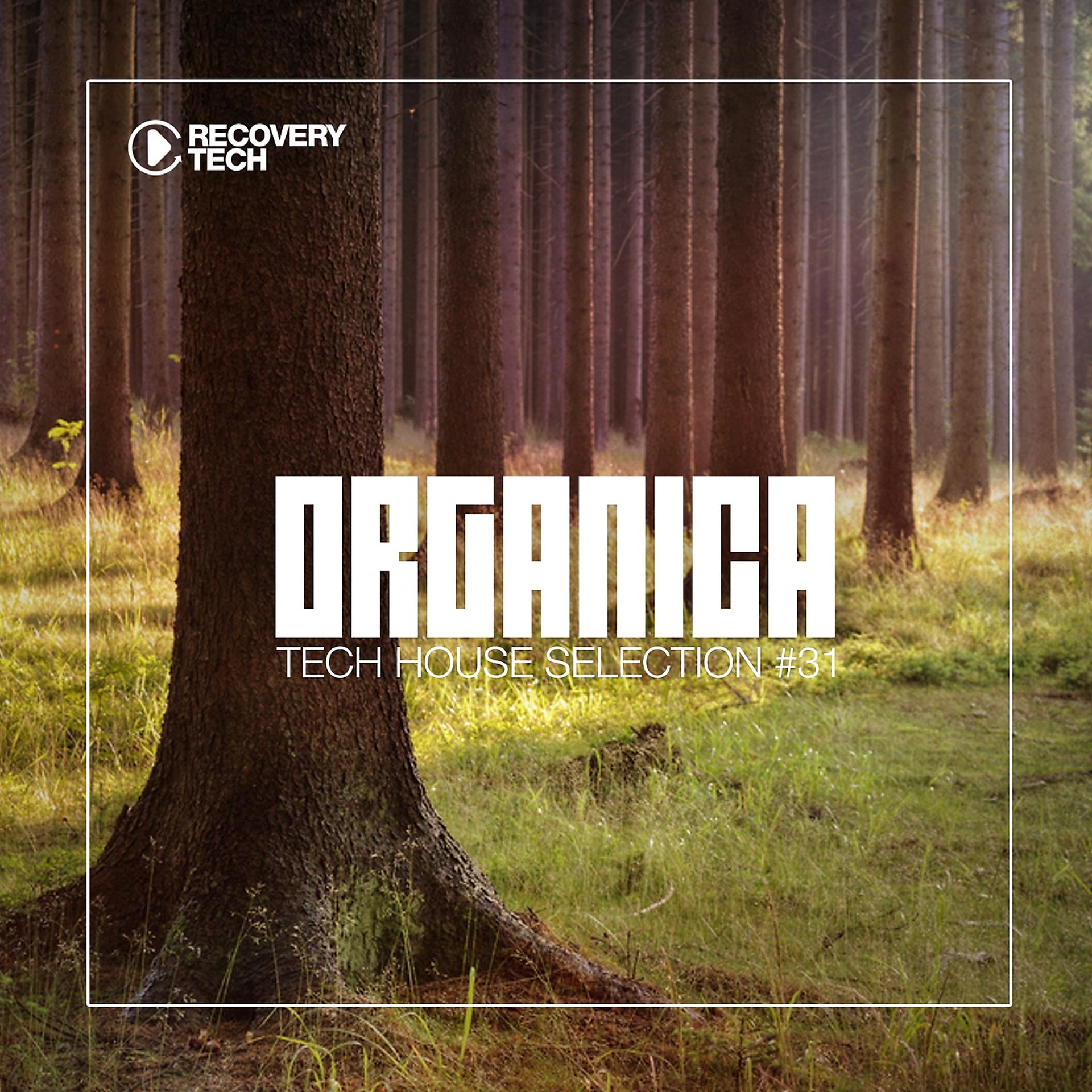 Постер альбома Organica #31