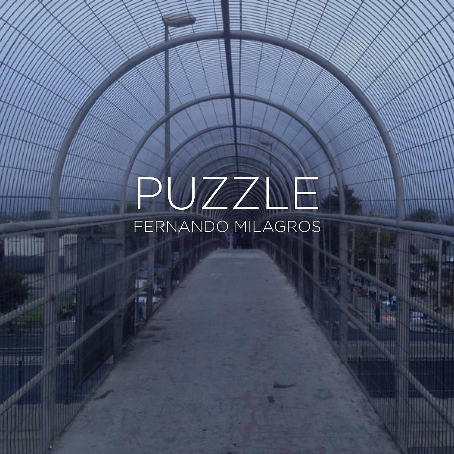 Постер альбома Puzzle (feat. Ruben Albarran)