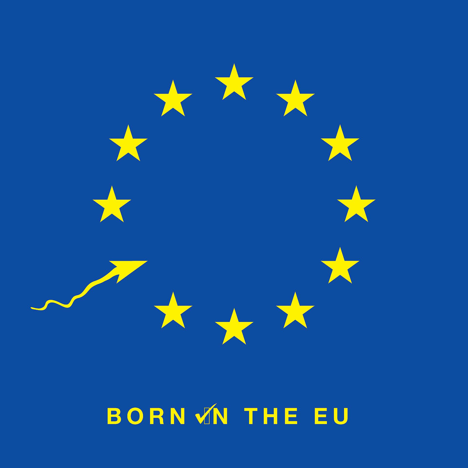 Постер альбома Born In The EU