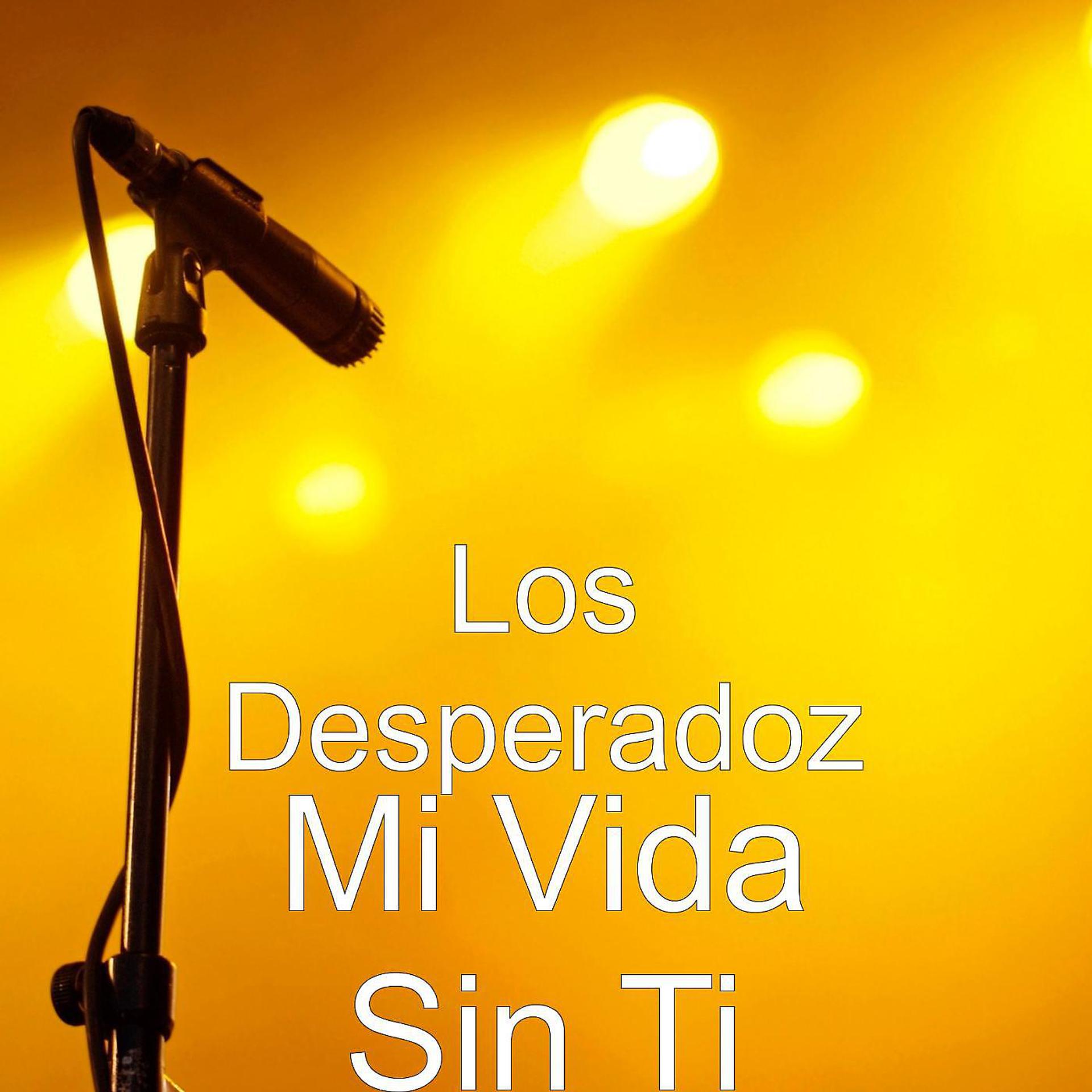 Постер альбома Mi Vida Sin Ti