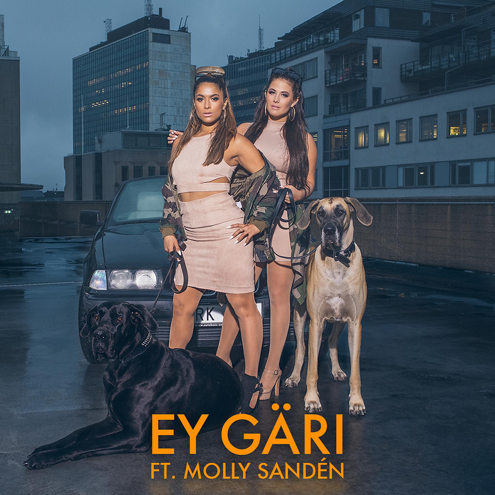 Постер альбома Ey Gäri