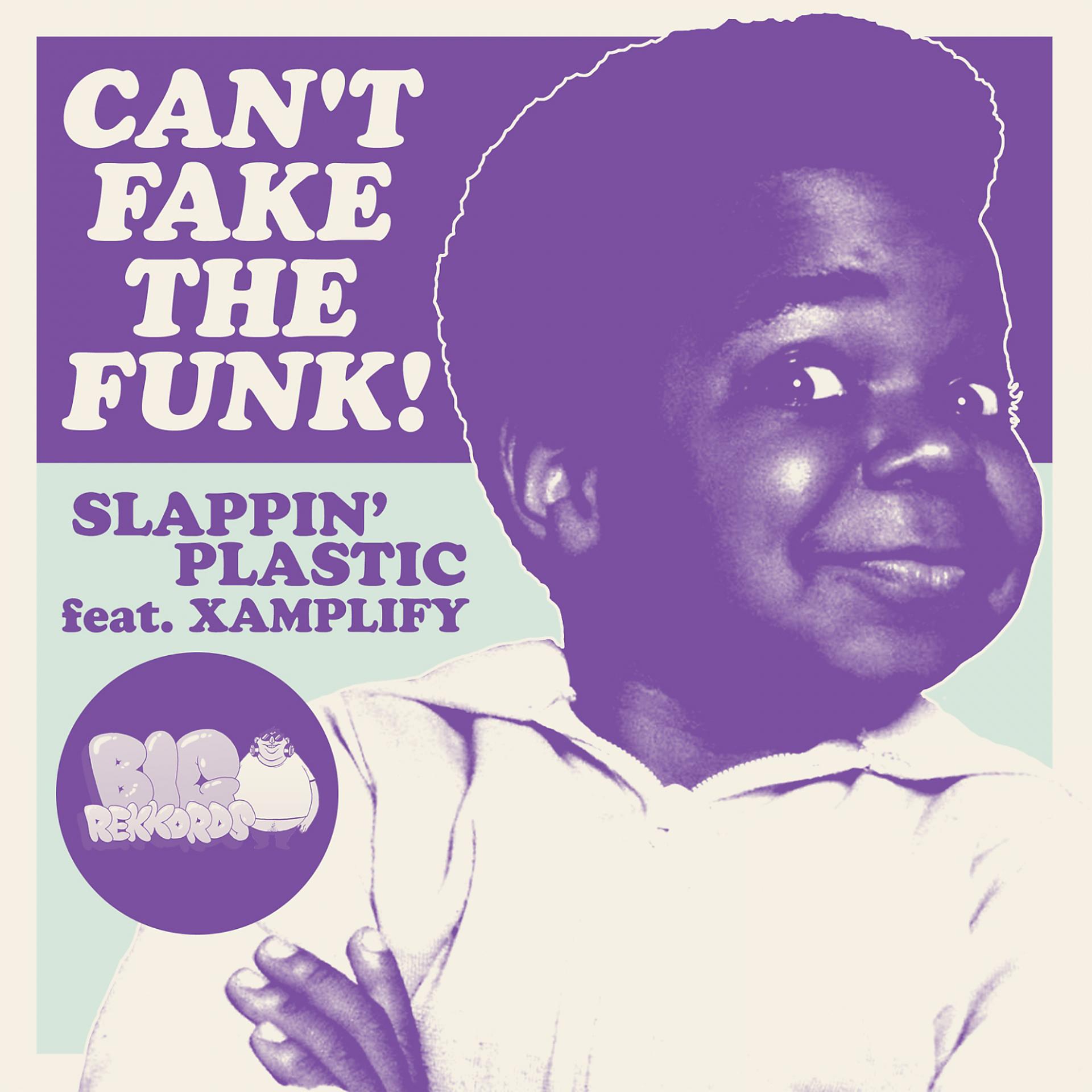 Постер альбома Can't Fake the Funk