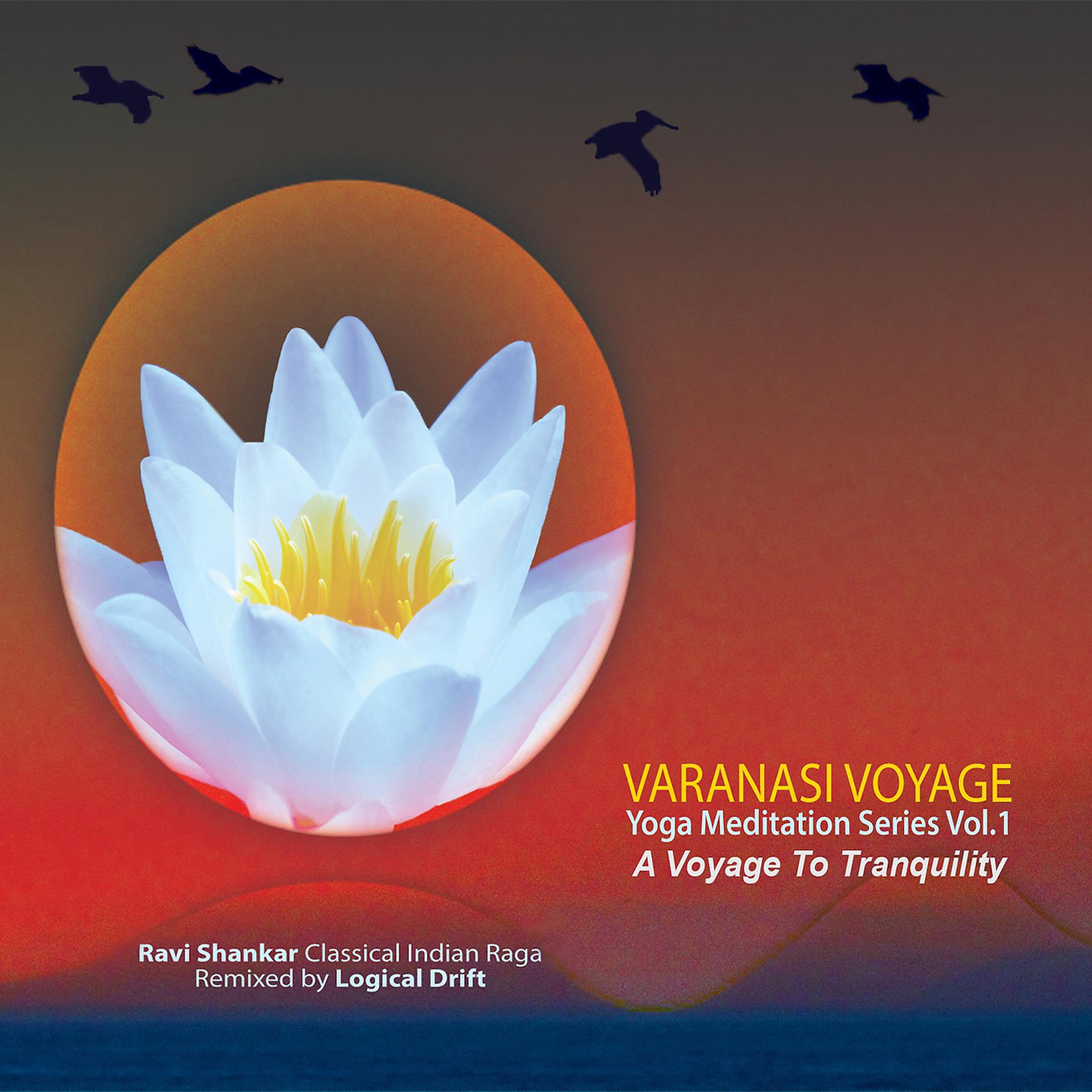 Постер альбома Varanasi Voyage