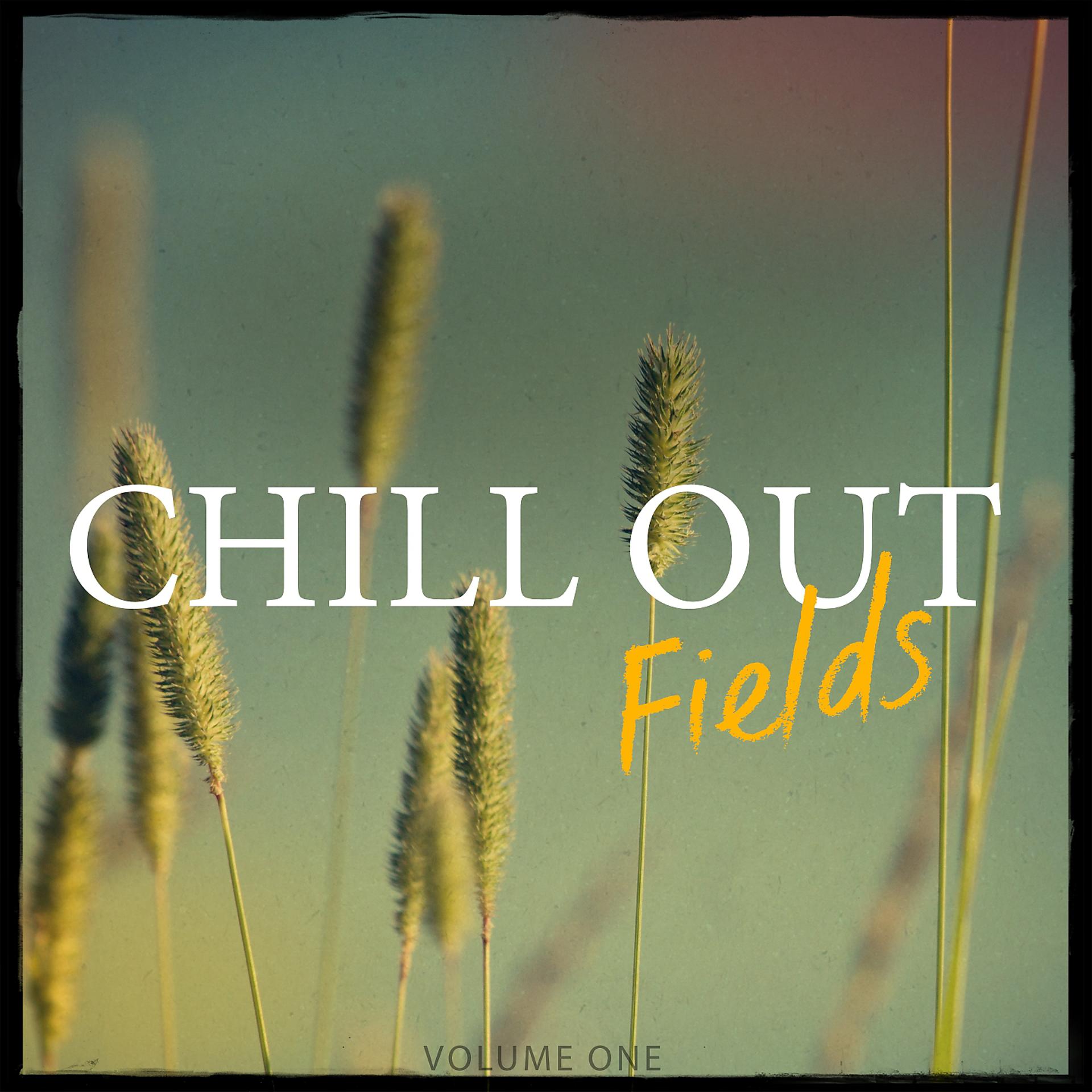 Постер альбома Chill Out Fields, Vol. 1