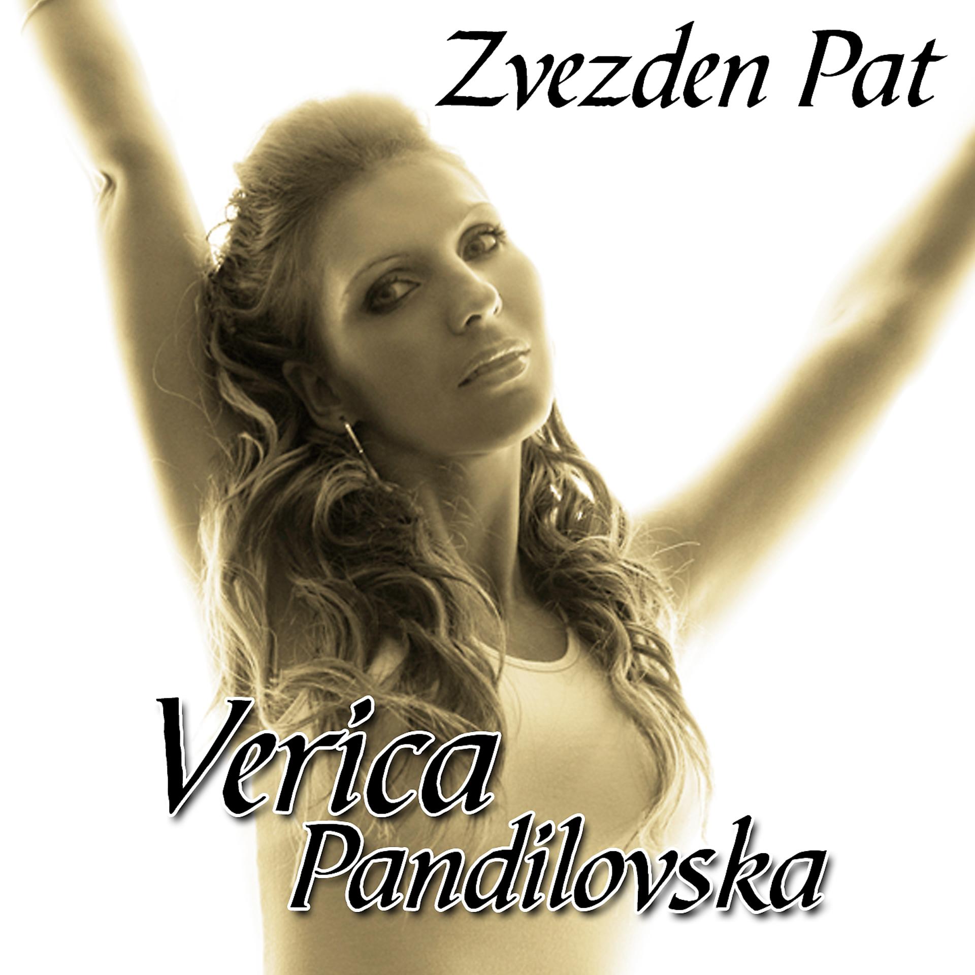 Постер альбома Zvezden Pat