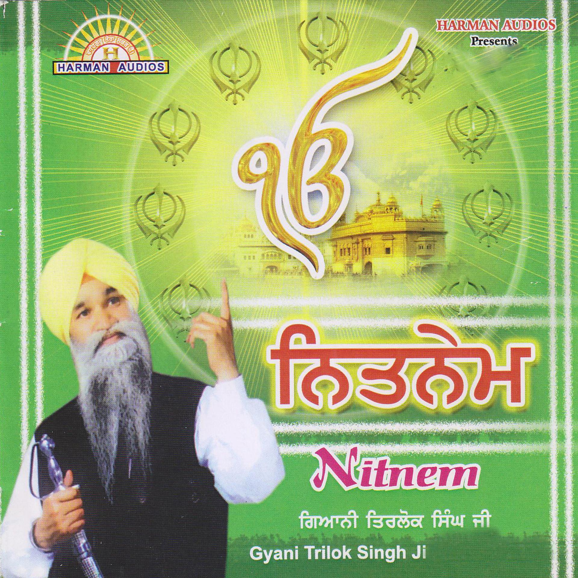 Постер альбома Nitnem