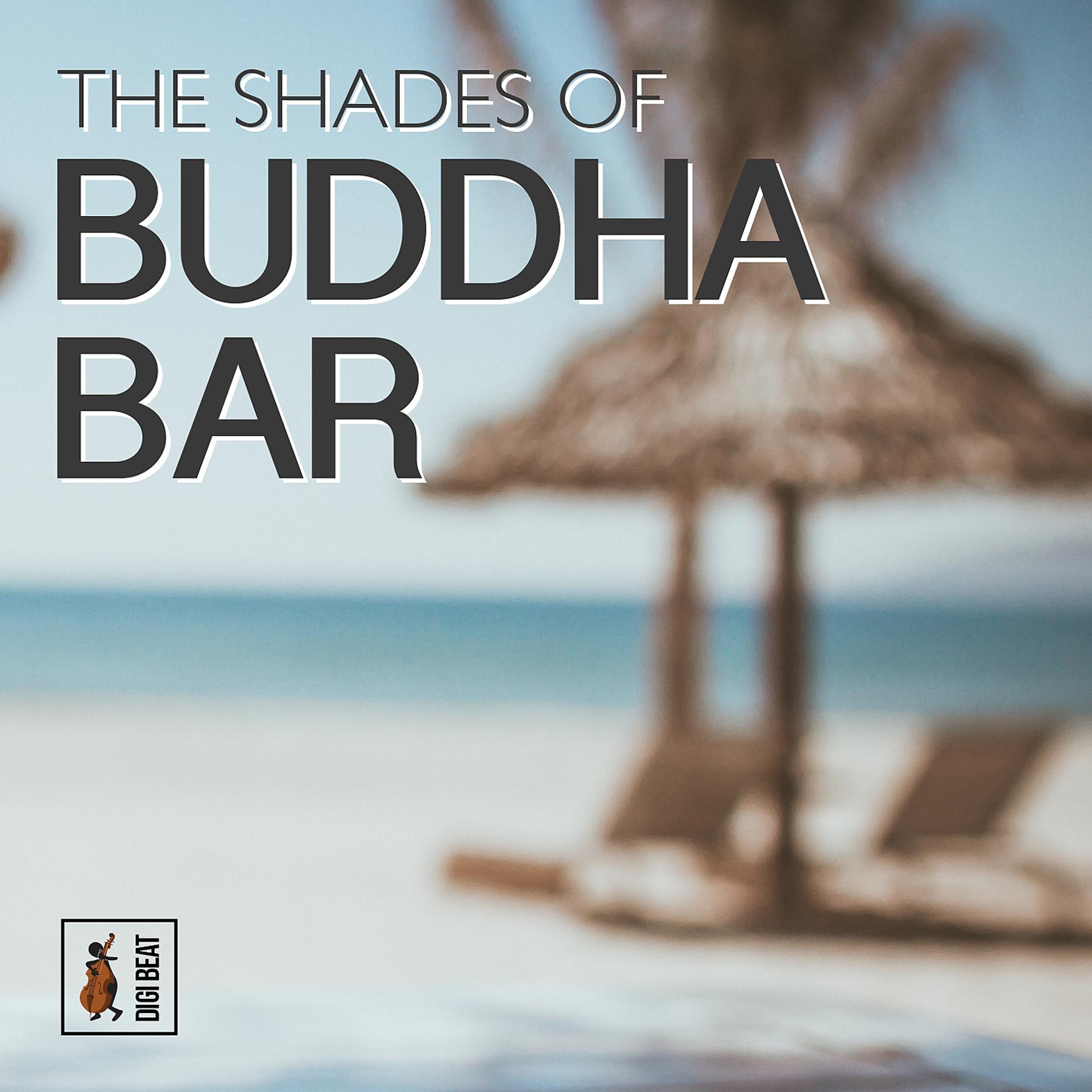 Постер альбома The Shades of Buddha Bar