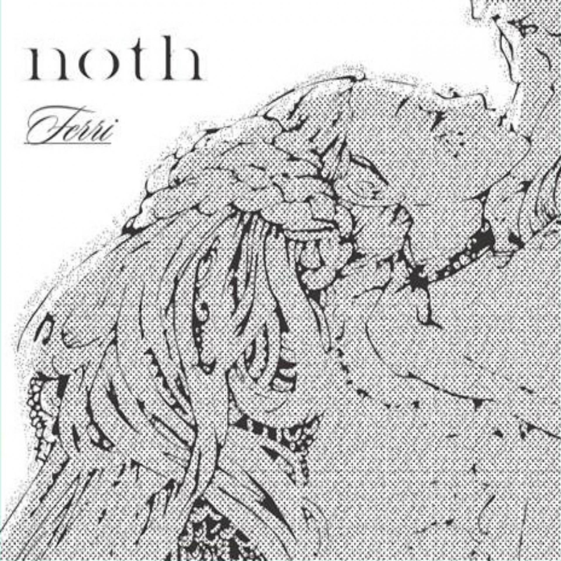Постер альбома Noth