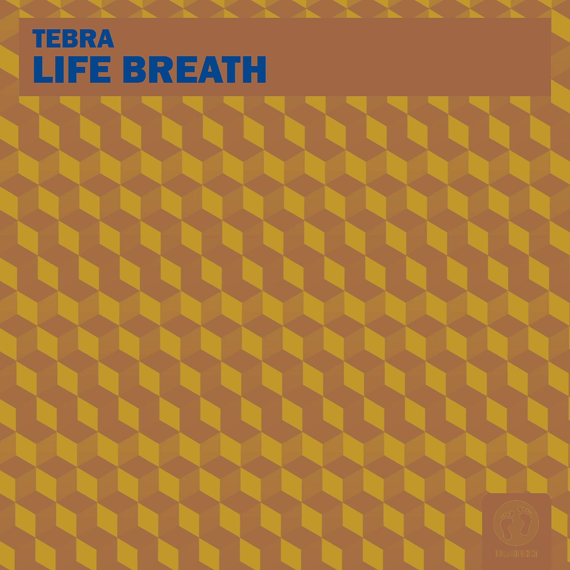 Постер альбома Life Breath